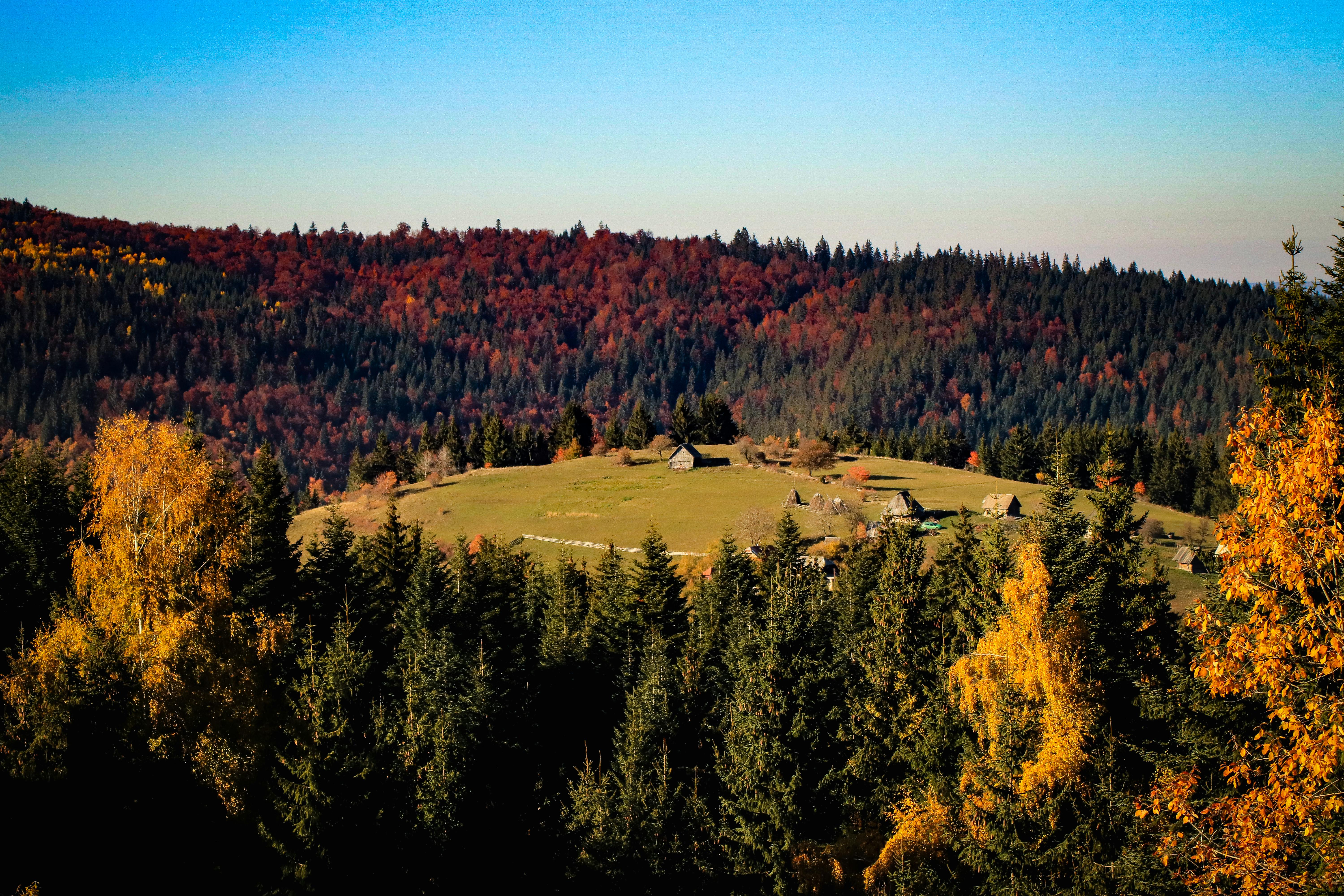 Плюсы и минусы