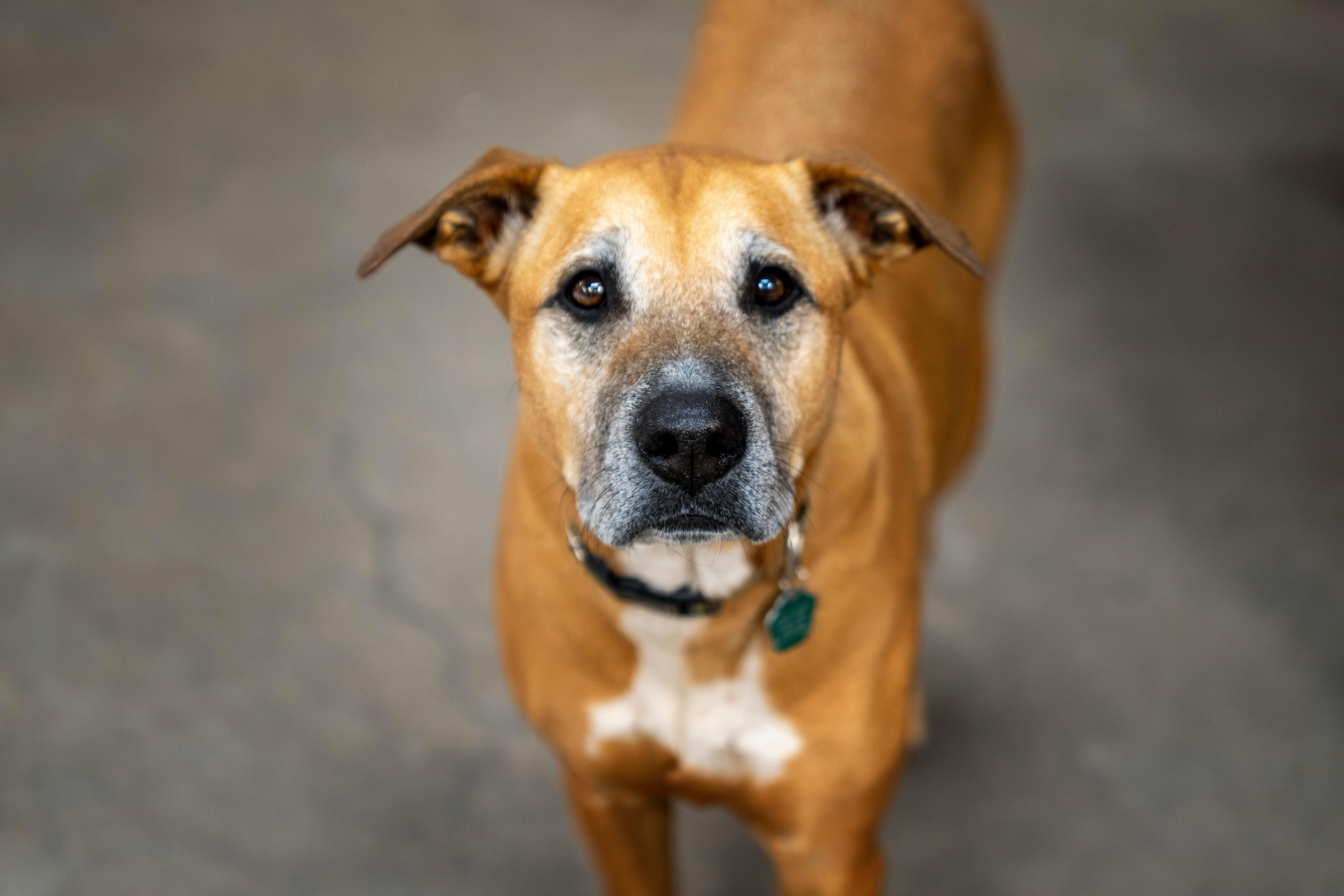 Уход и содержание