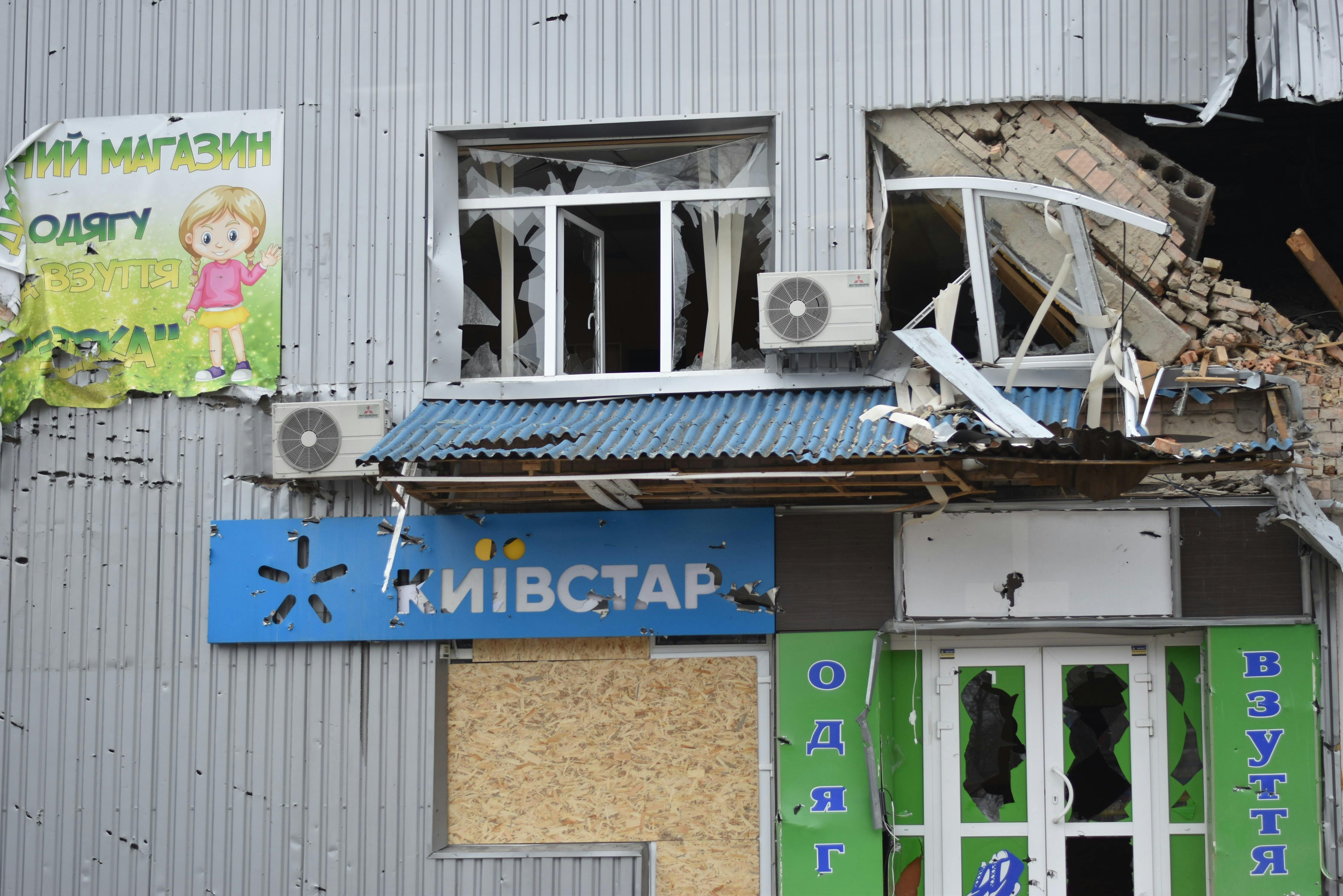 Мидии: польза и вред для организма
