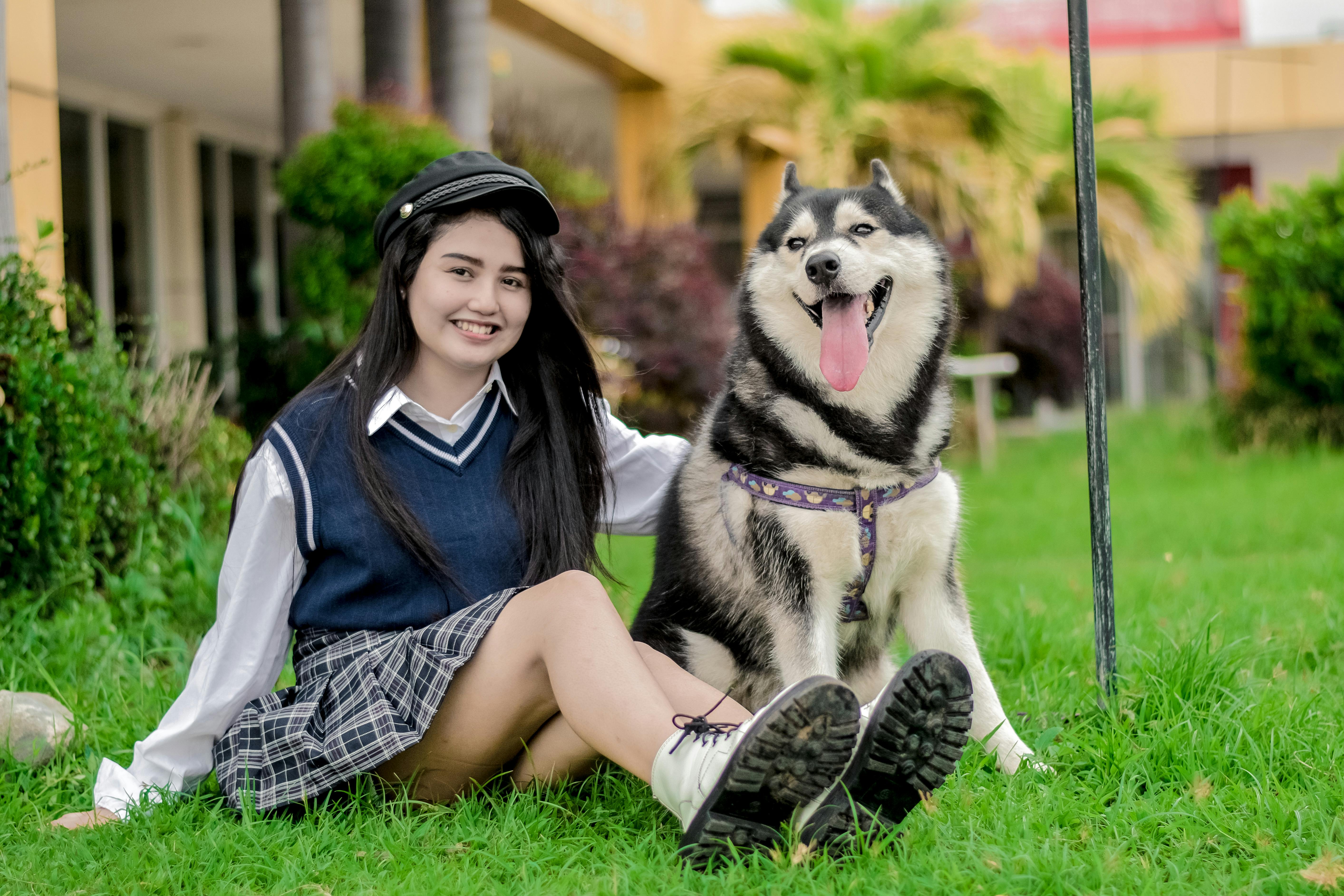 Маламут собака