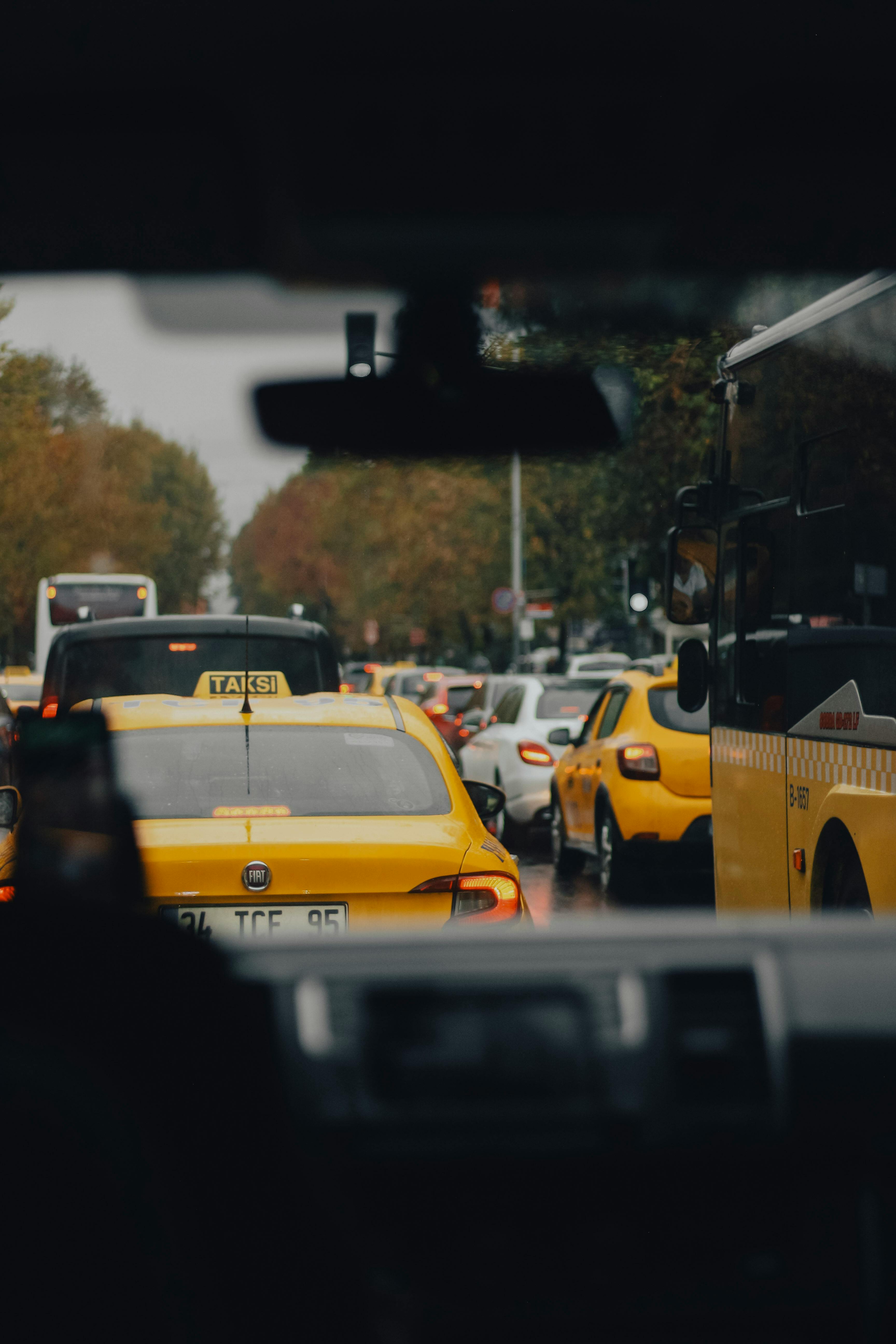 Осы на даче: как избавиться самостоятельно