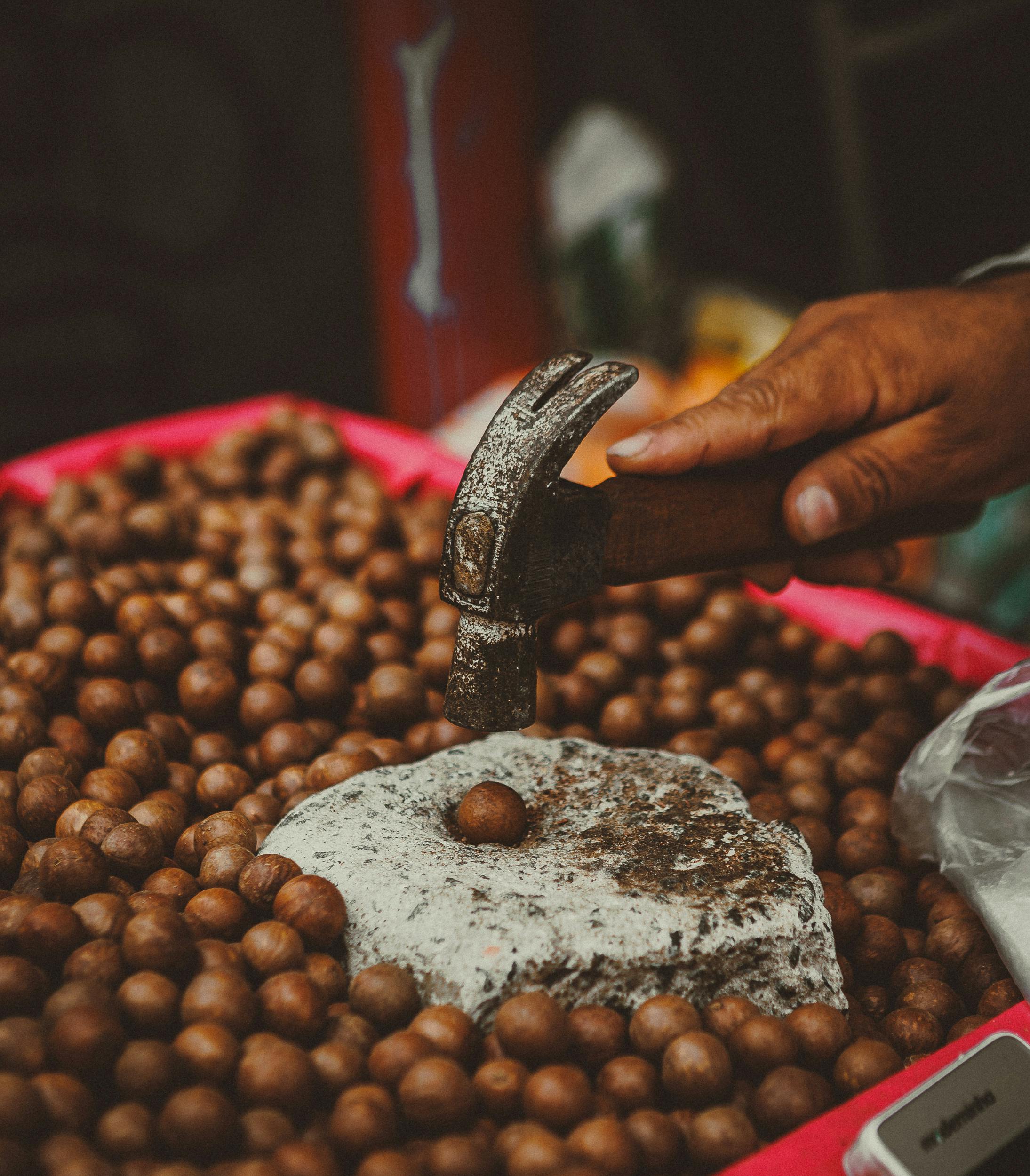 Бразильский орех: польза и вред для организма