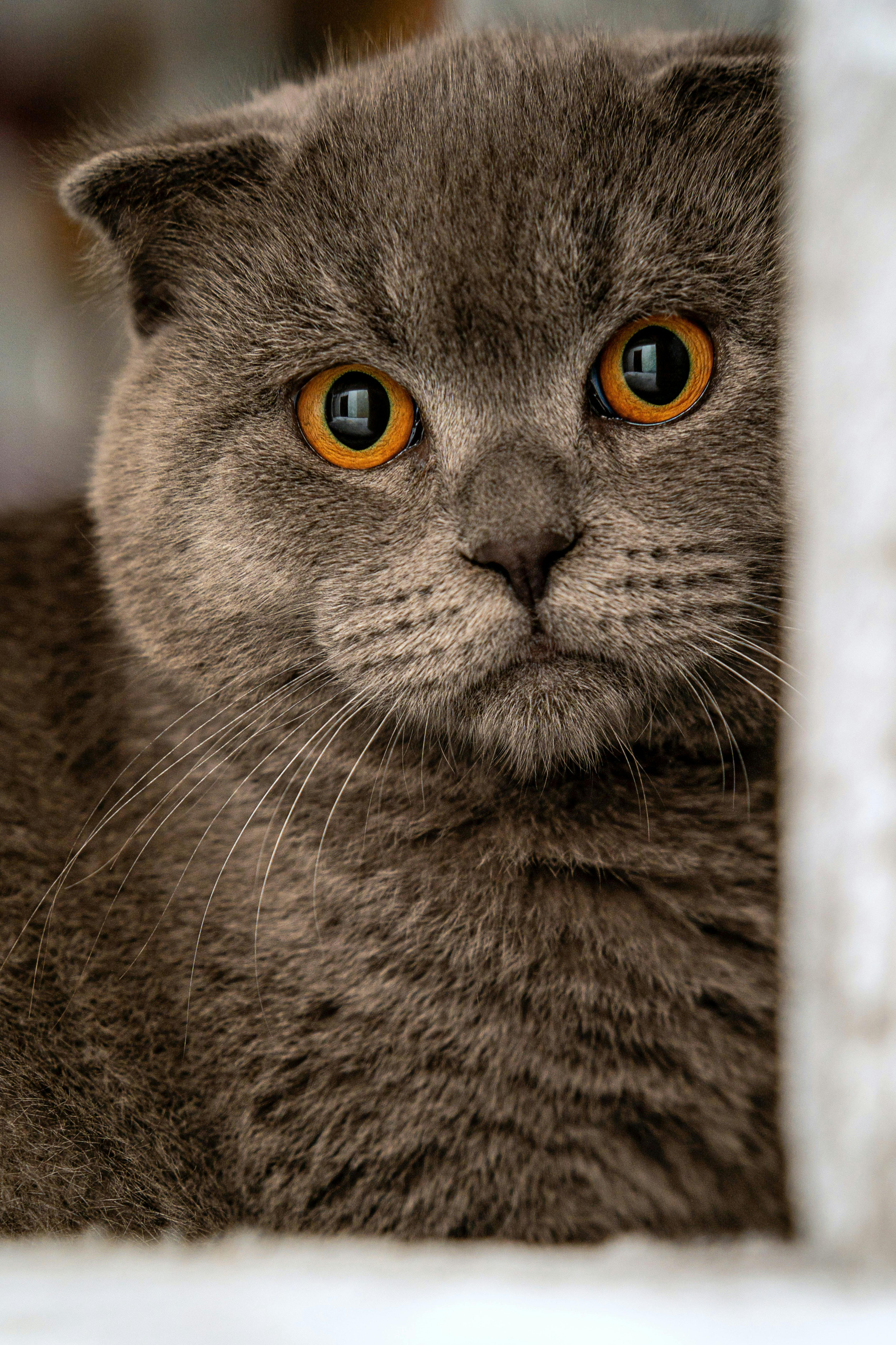 Здоровье и болезни