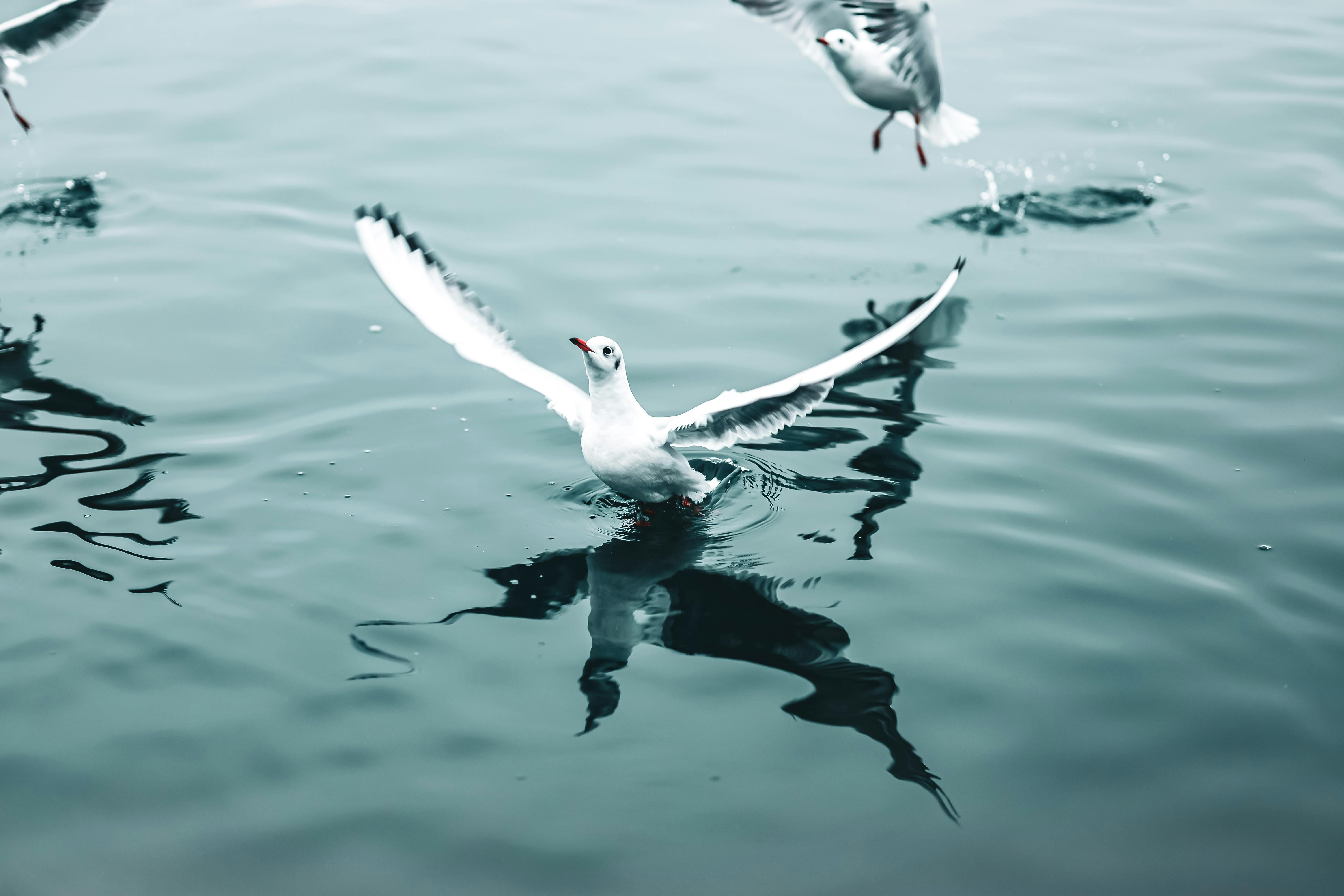 Как сэкономить на уходе за морковью?