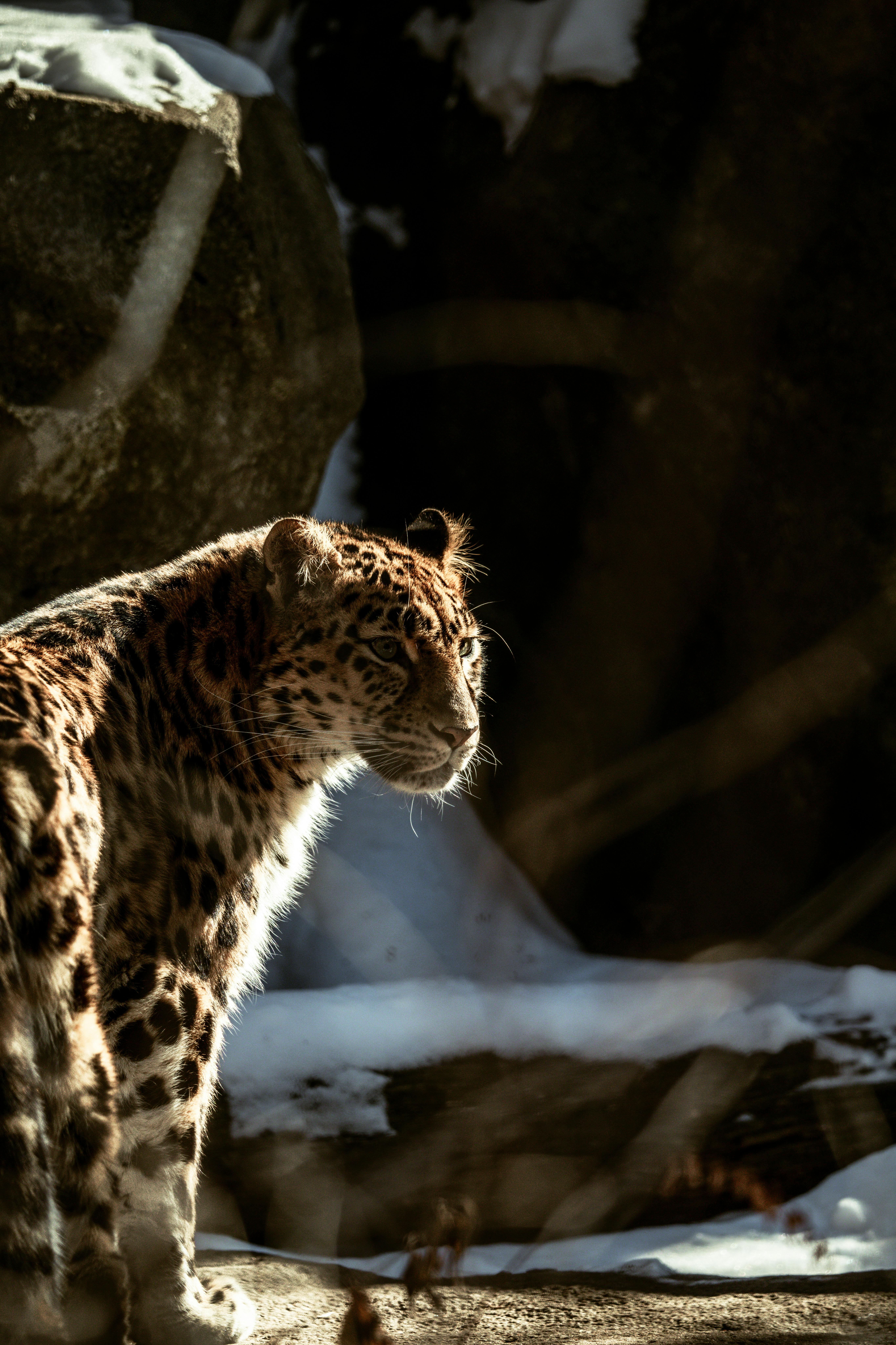 Основные характеристики