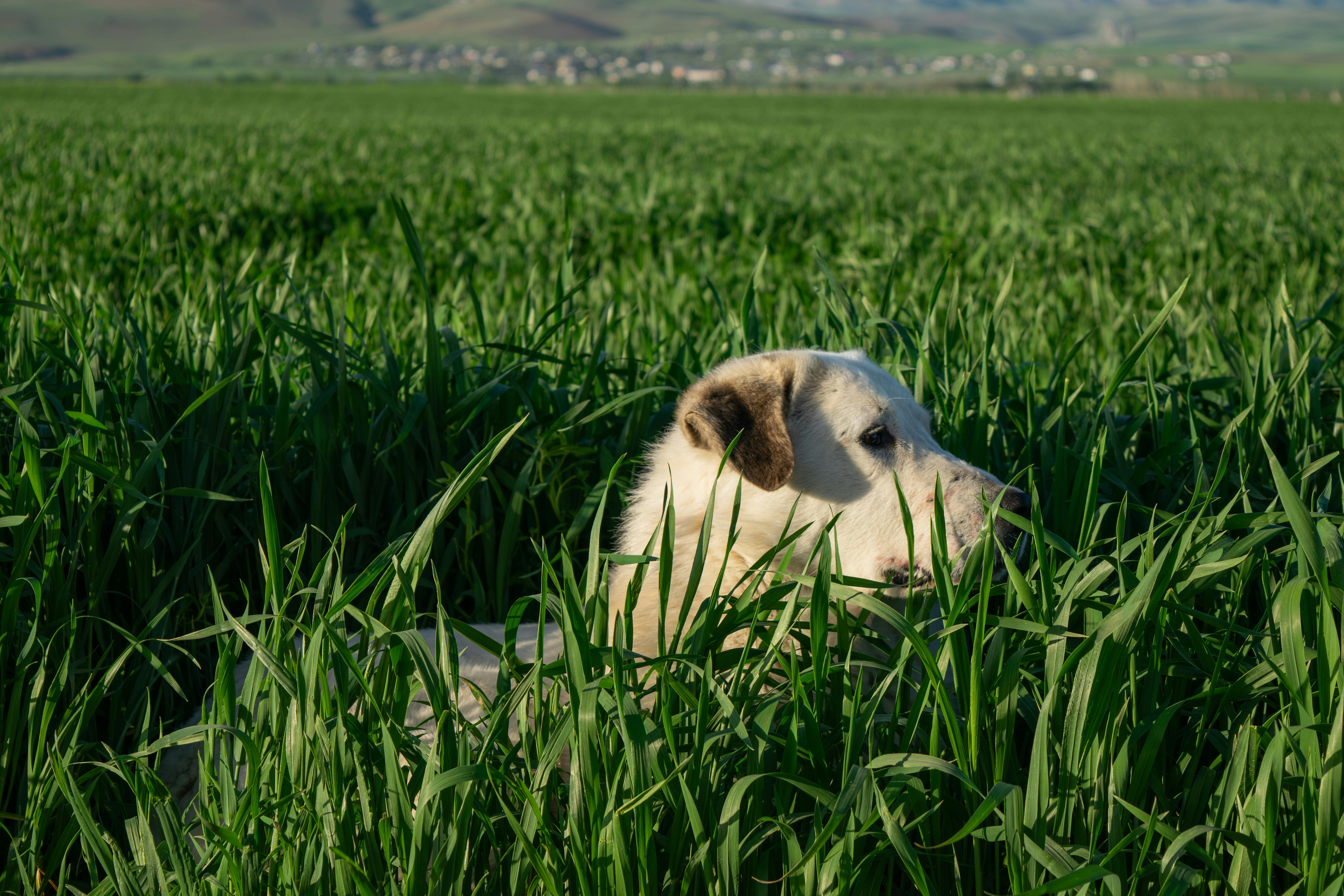 Характеристики