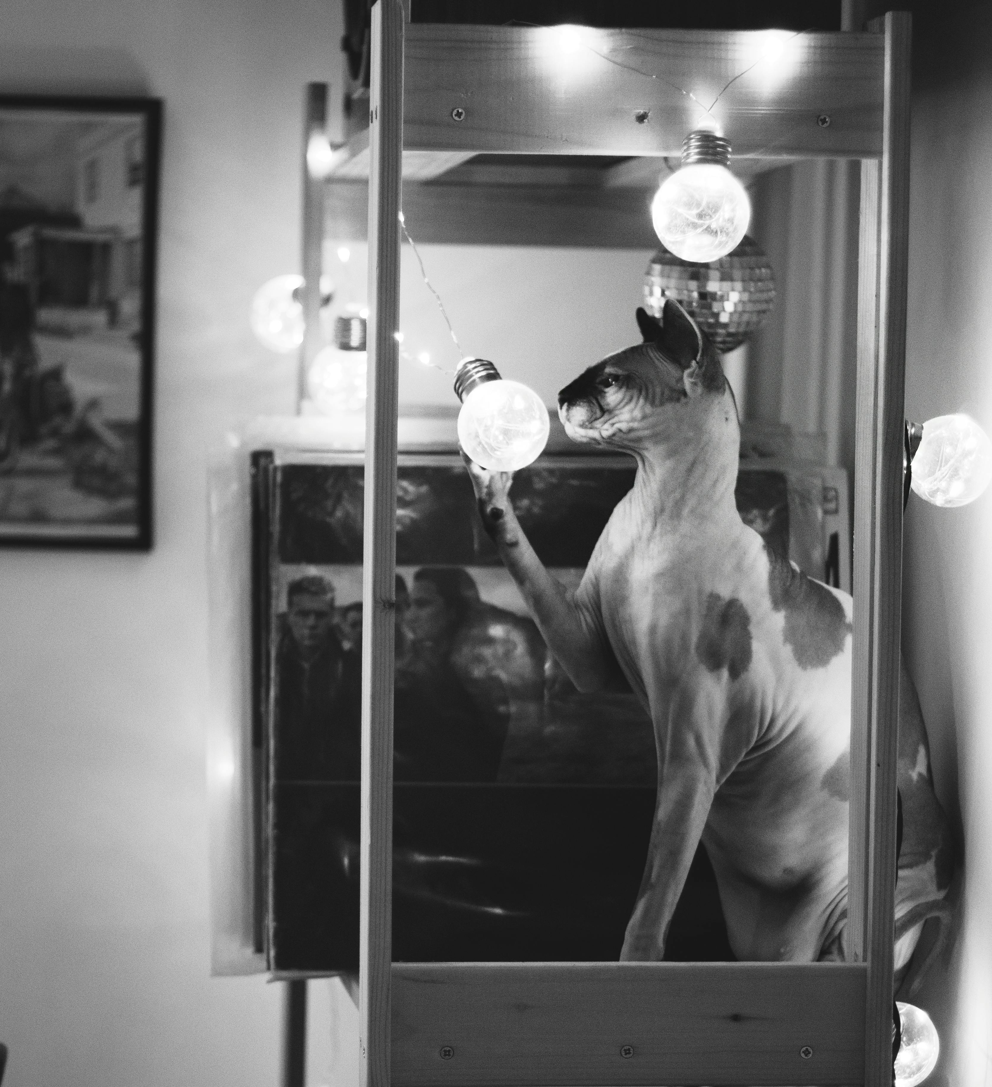 Популярные вопросы и ответы