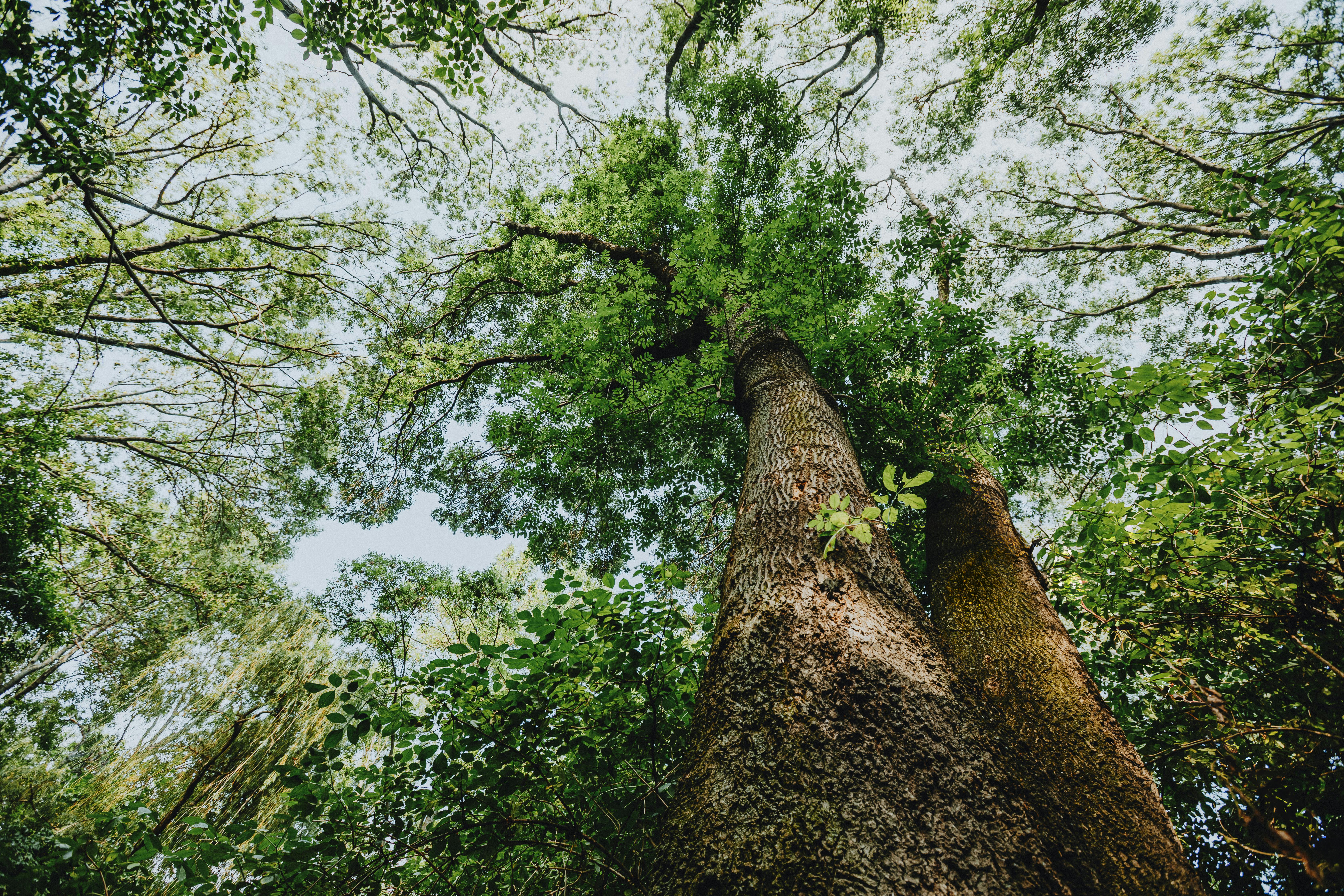 1. Досудебное урегулирование