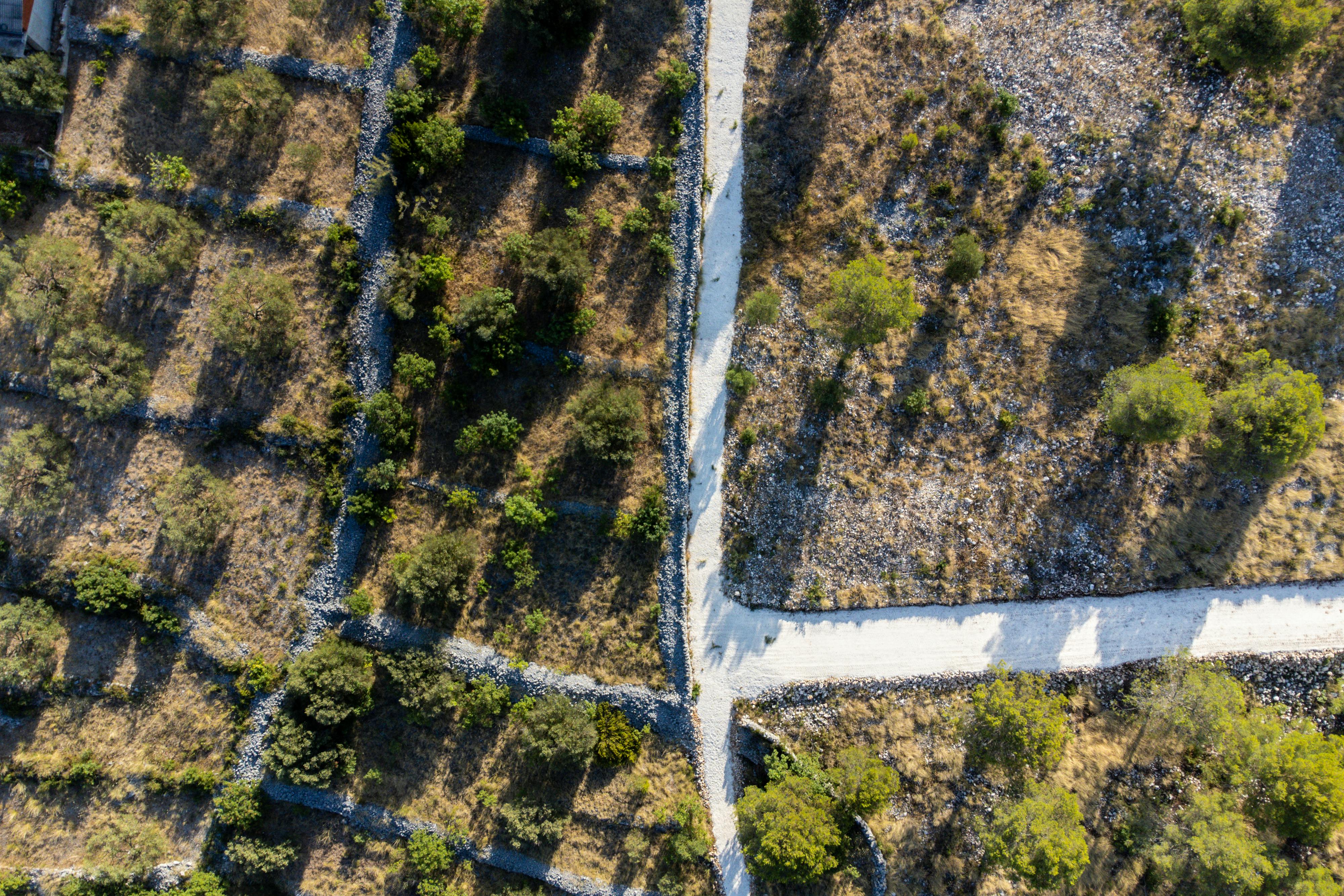 Что такое инфекция