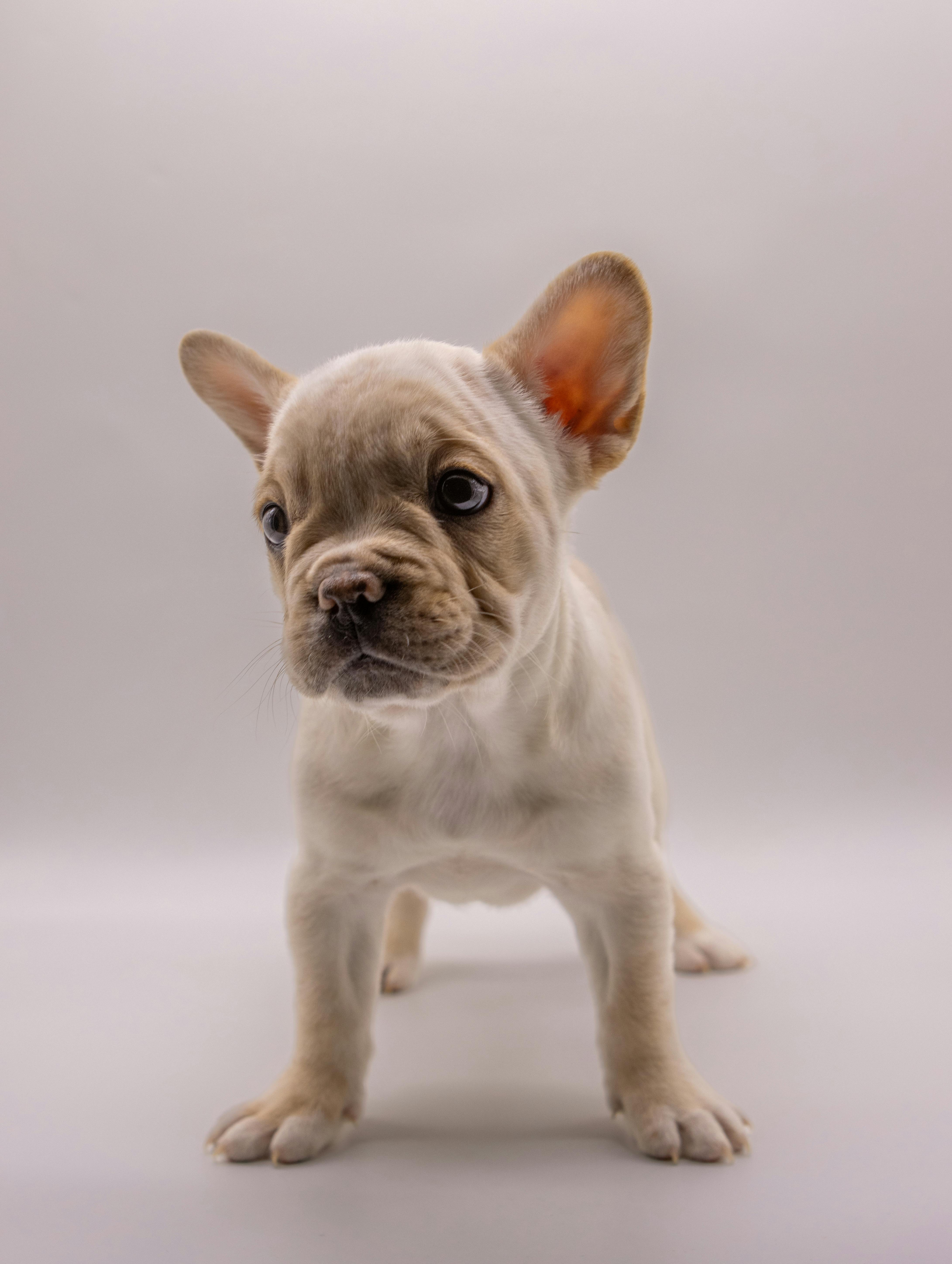 Популярные вопросы и ответы