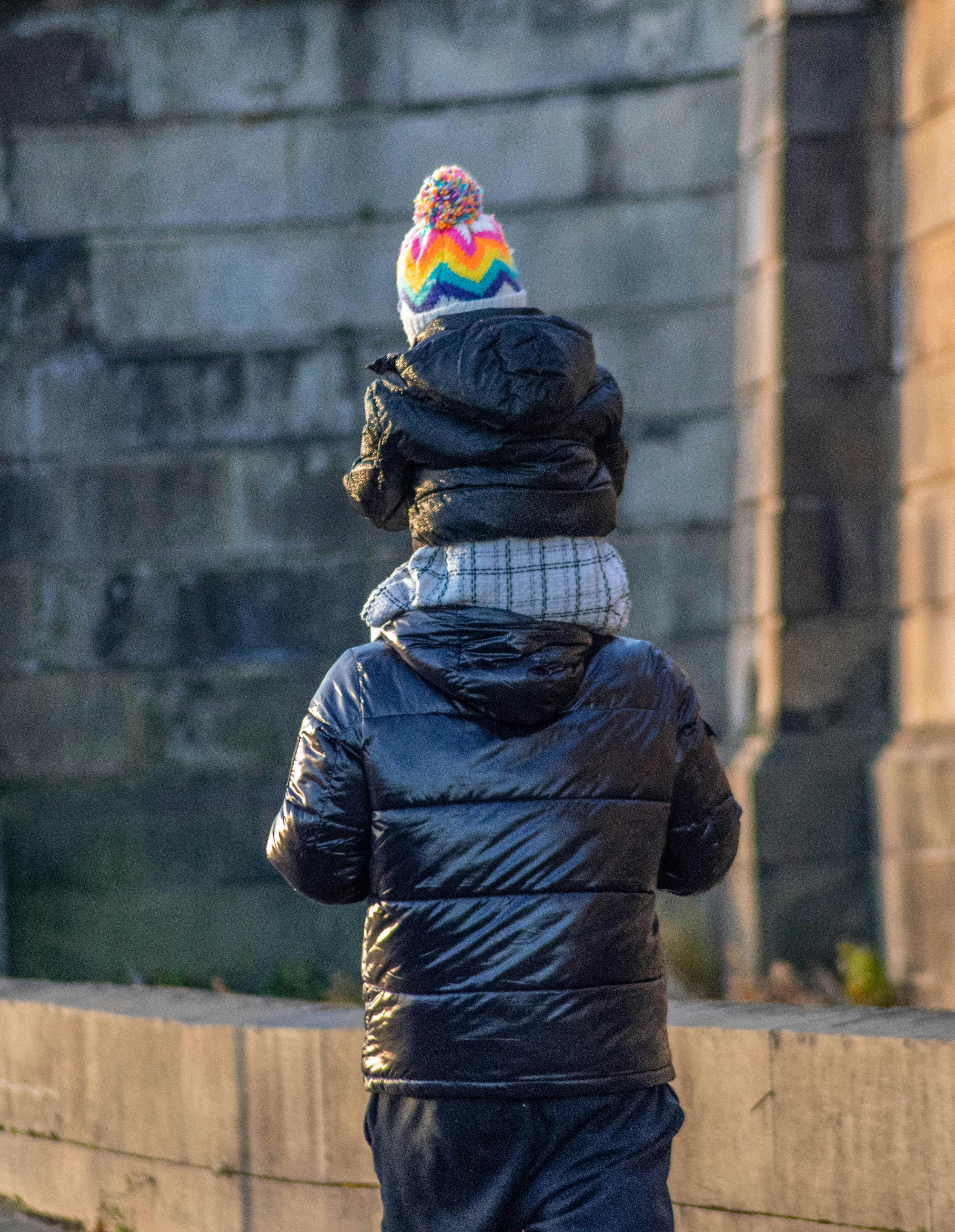 Чем лечить температуру у собаки, если она повышена