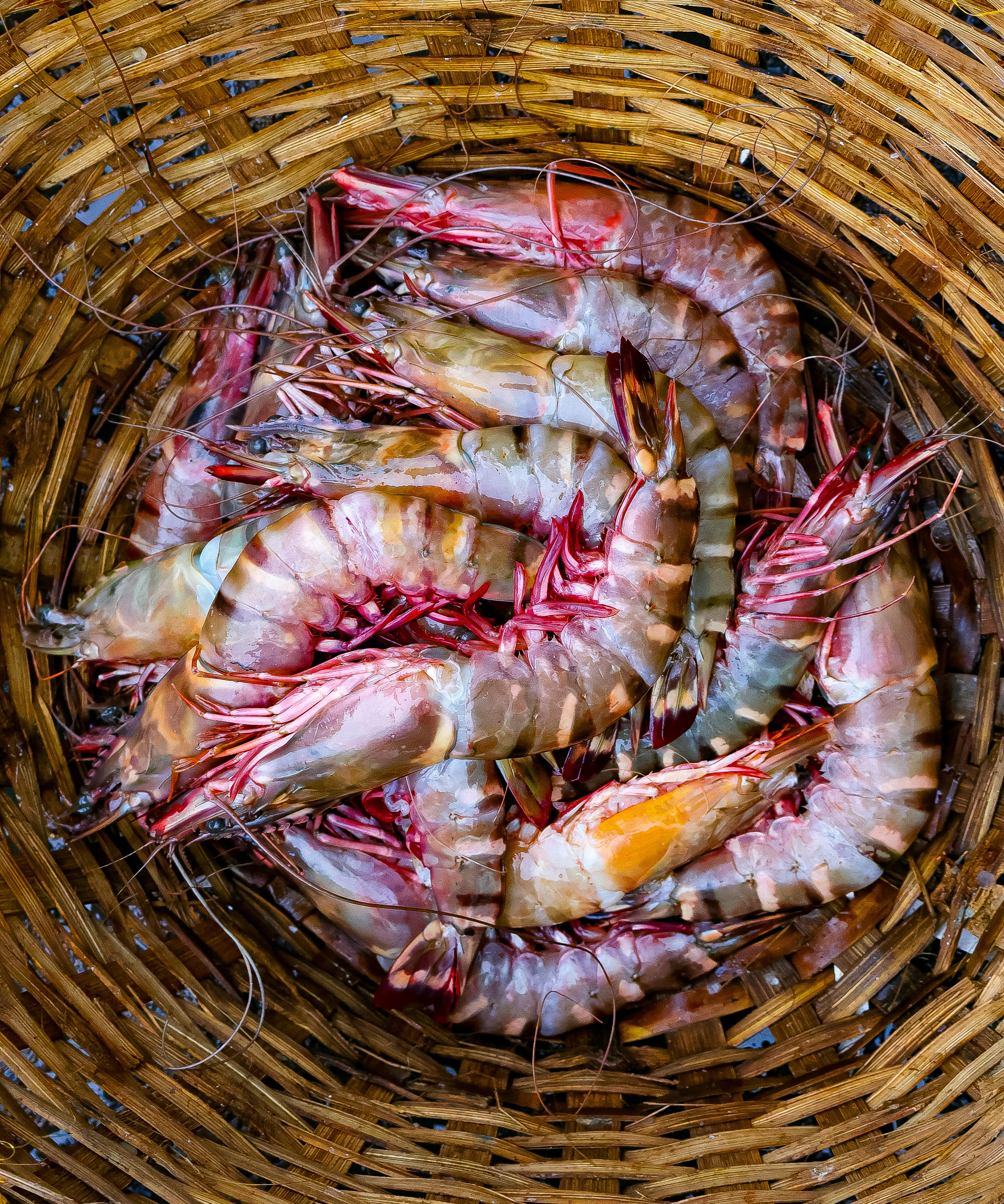 Вкусные и простые рецепты с креветками