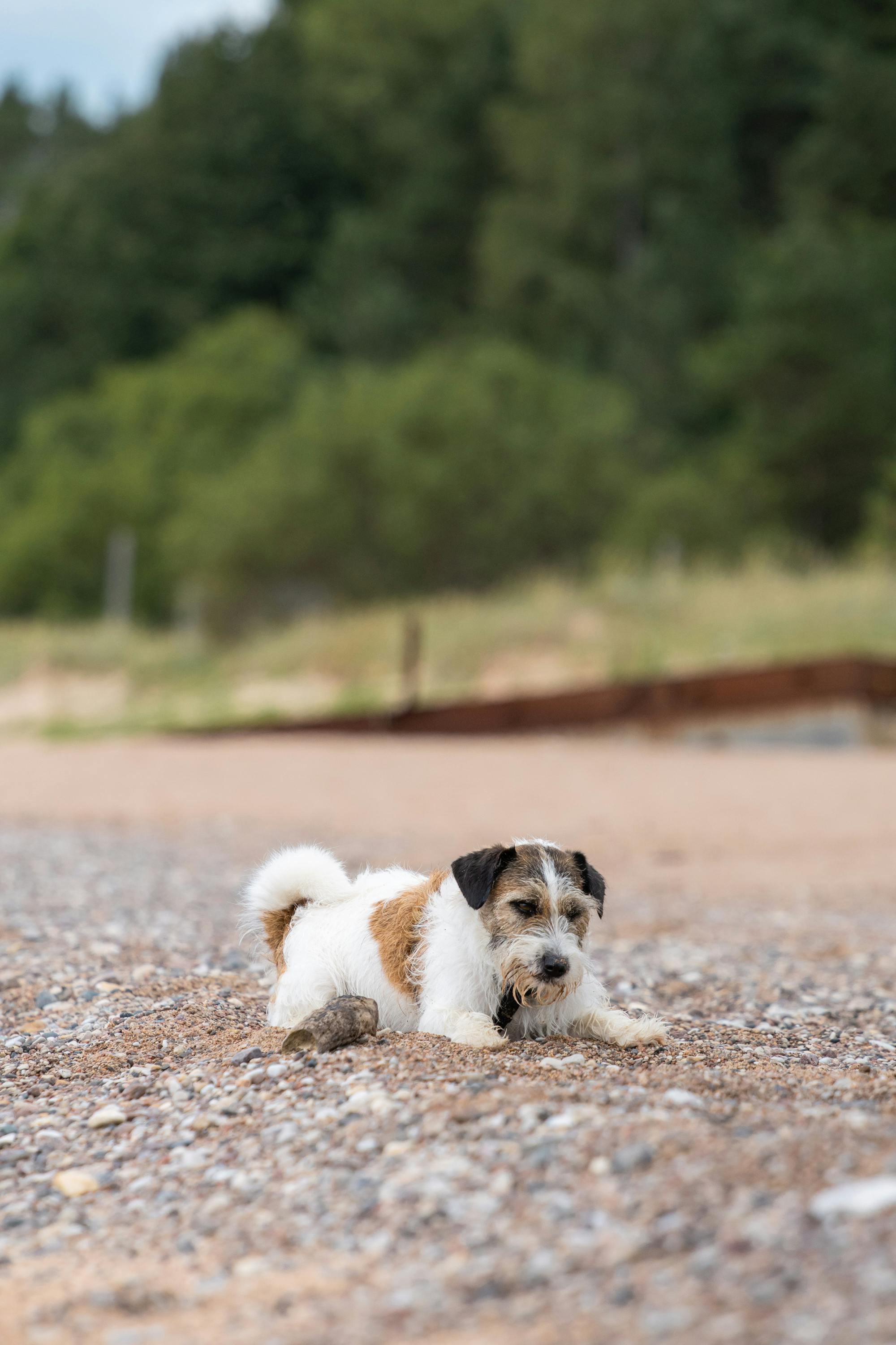 Популярные вопросы и ответы