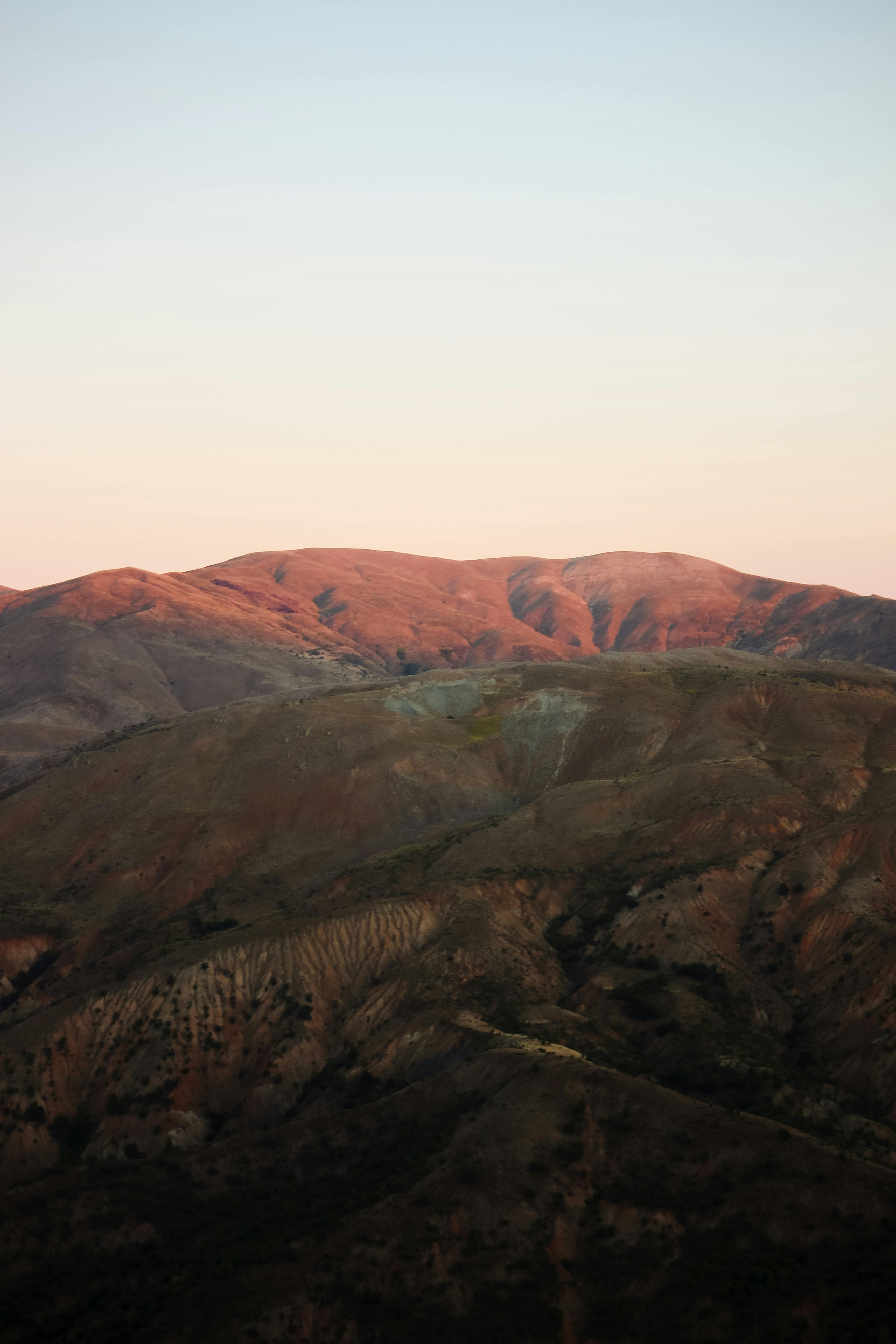 Формирование огурцов в теплице