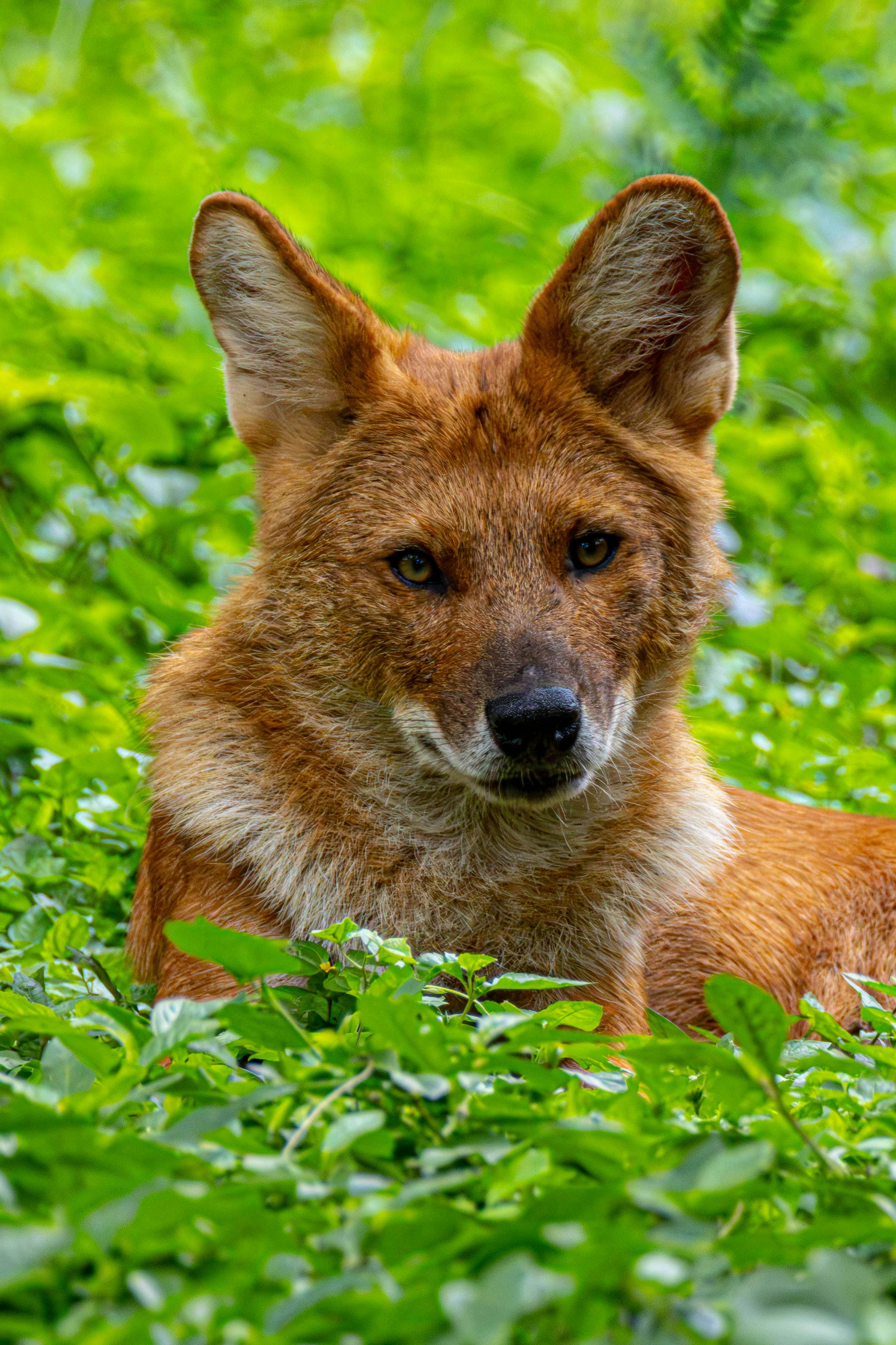 Что такое эпилепсия