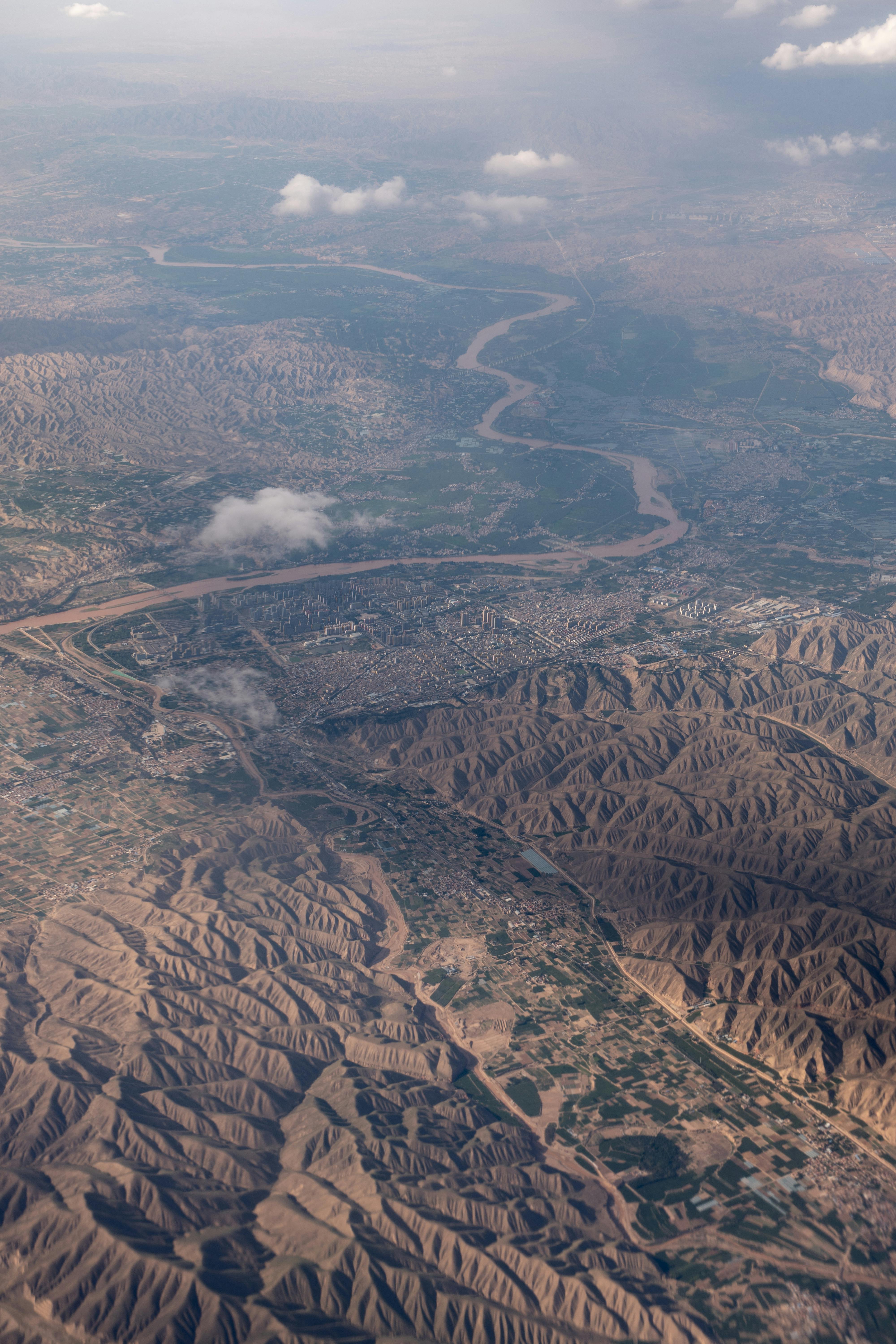 Обрезка листьев у огурцов