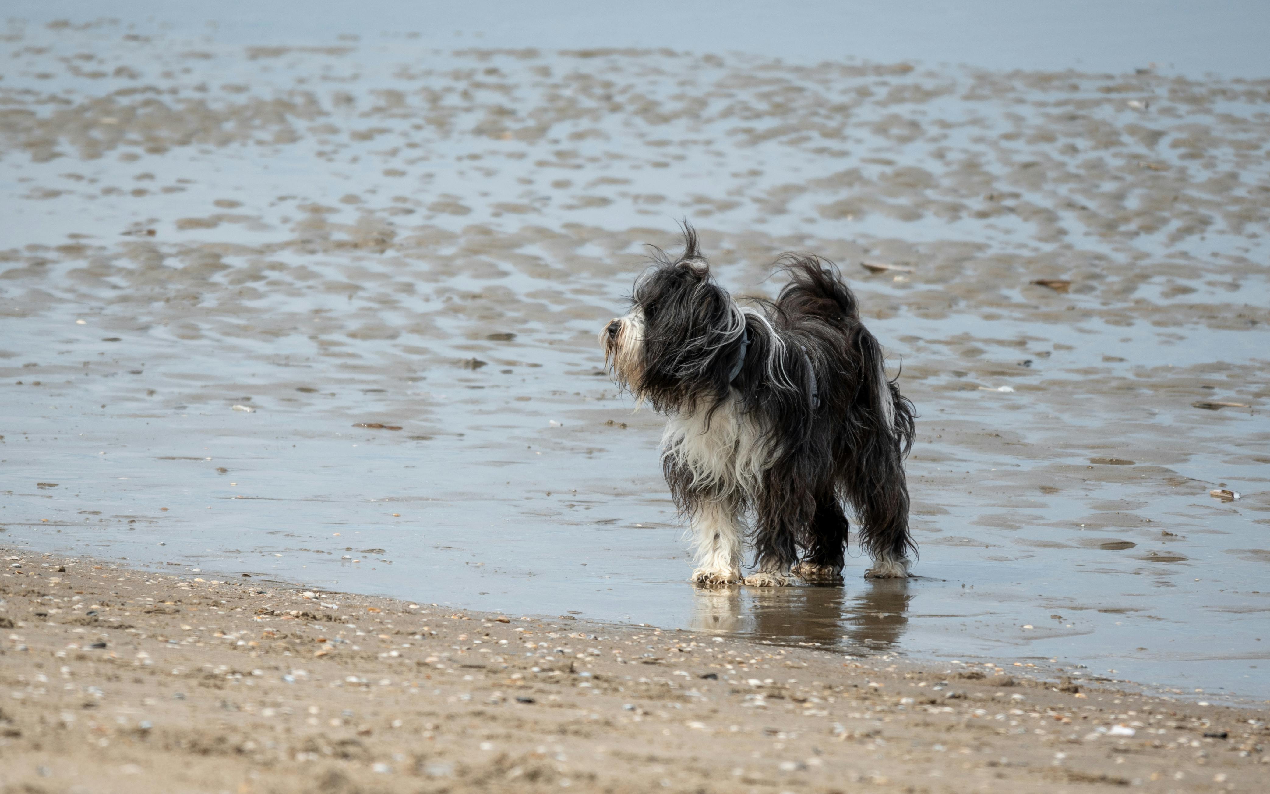 Фотографии