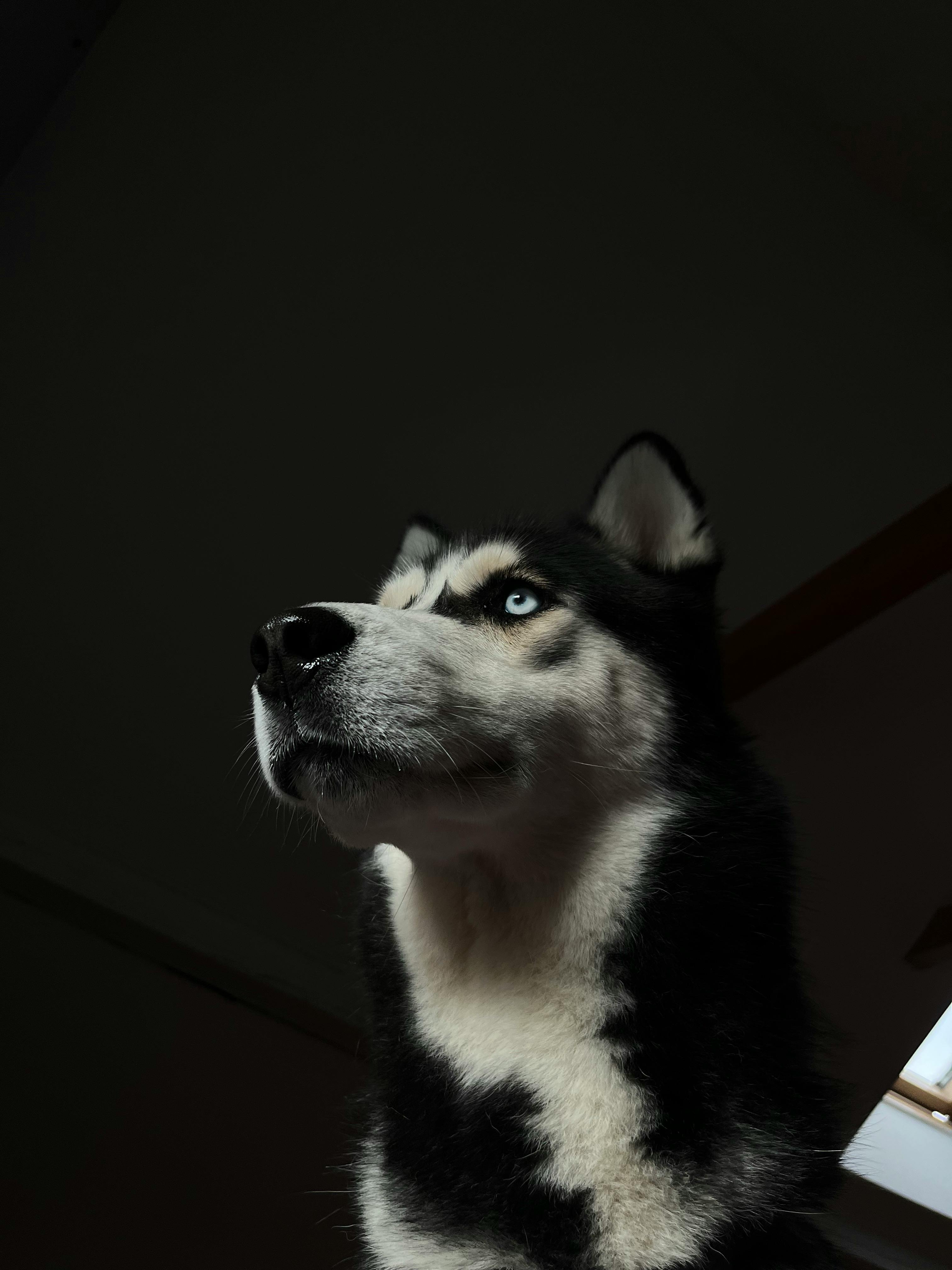 Характер