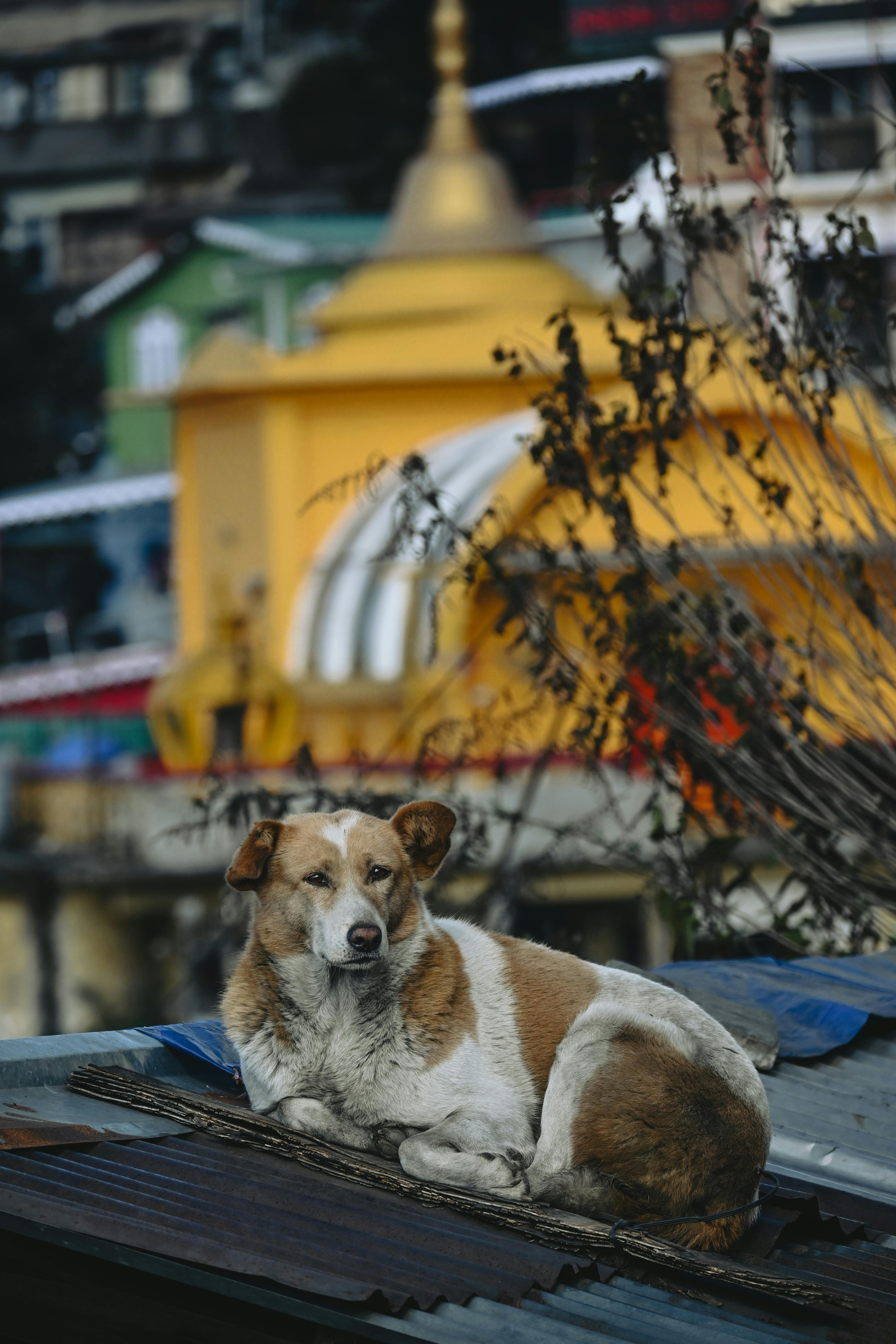 Фотографии