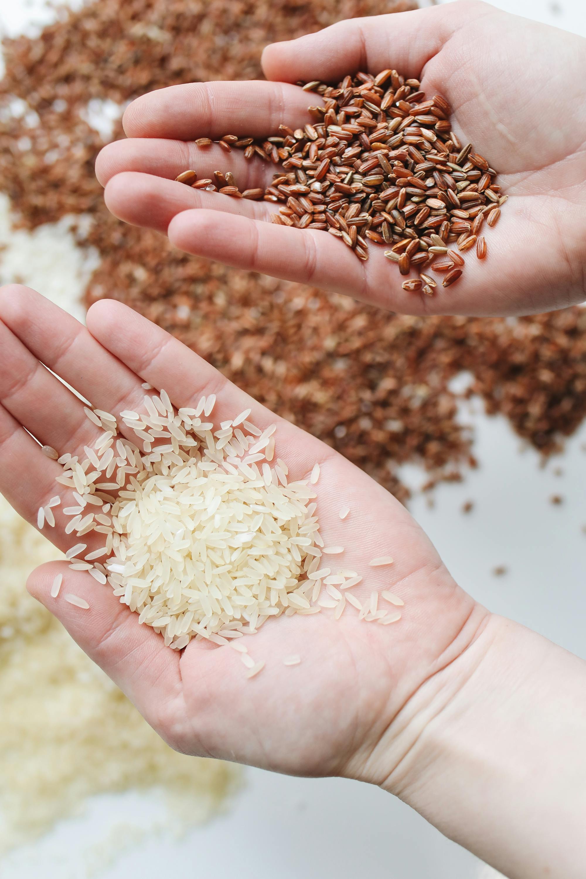 15+ продуктов без углеводов