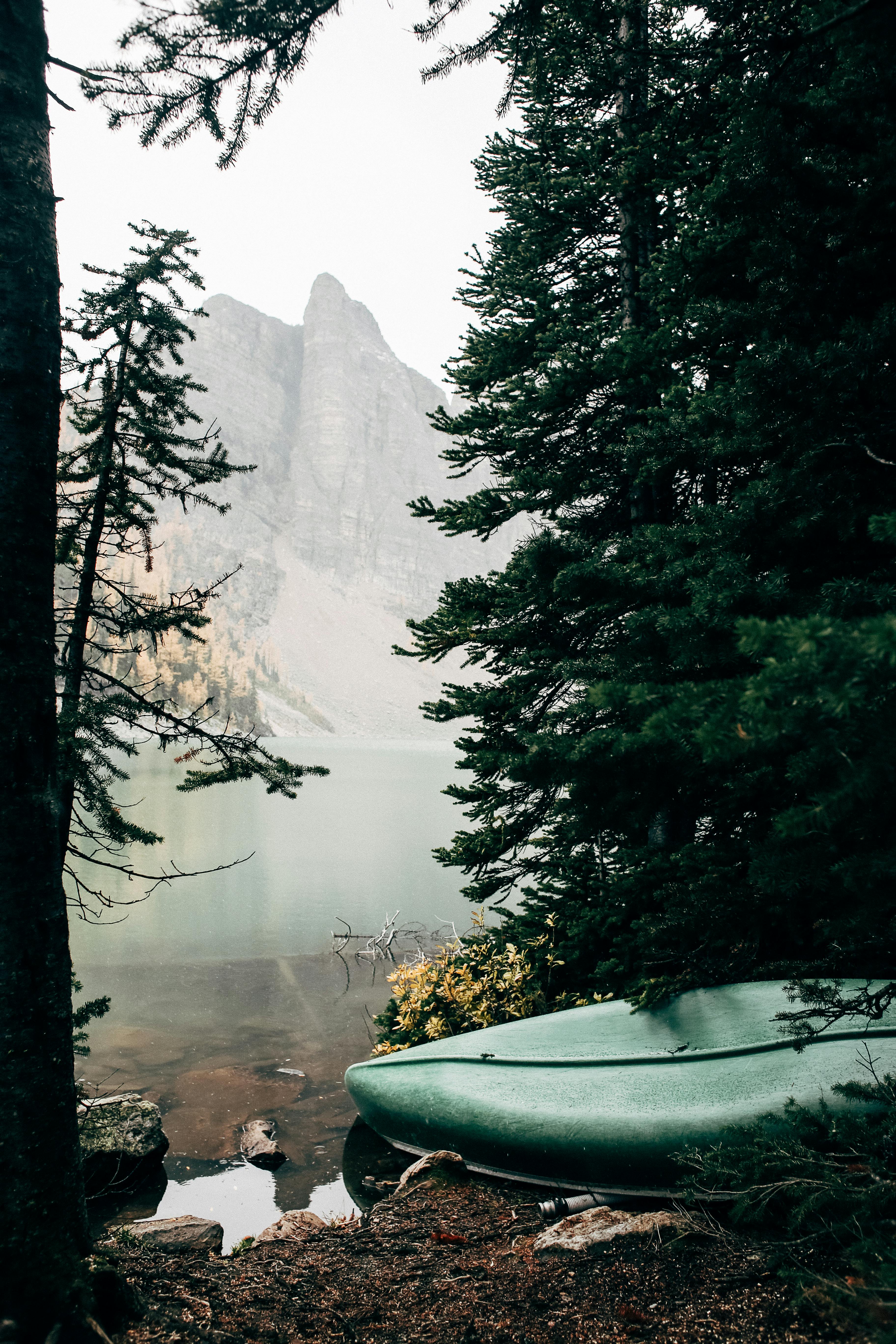 Молли