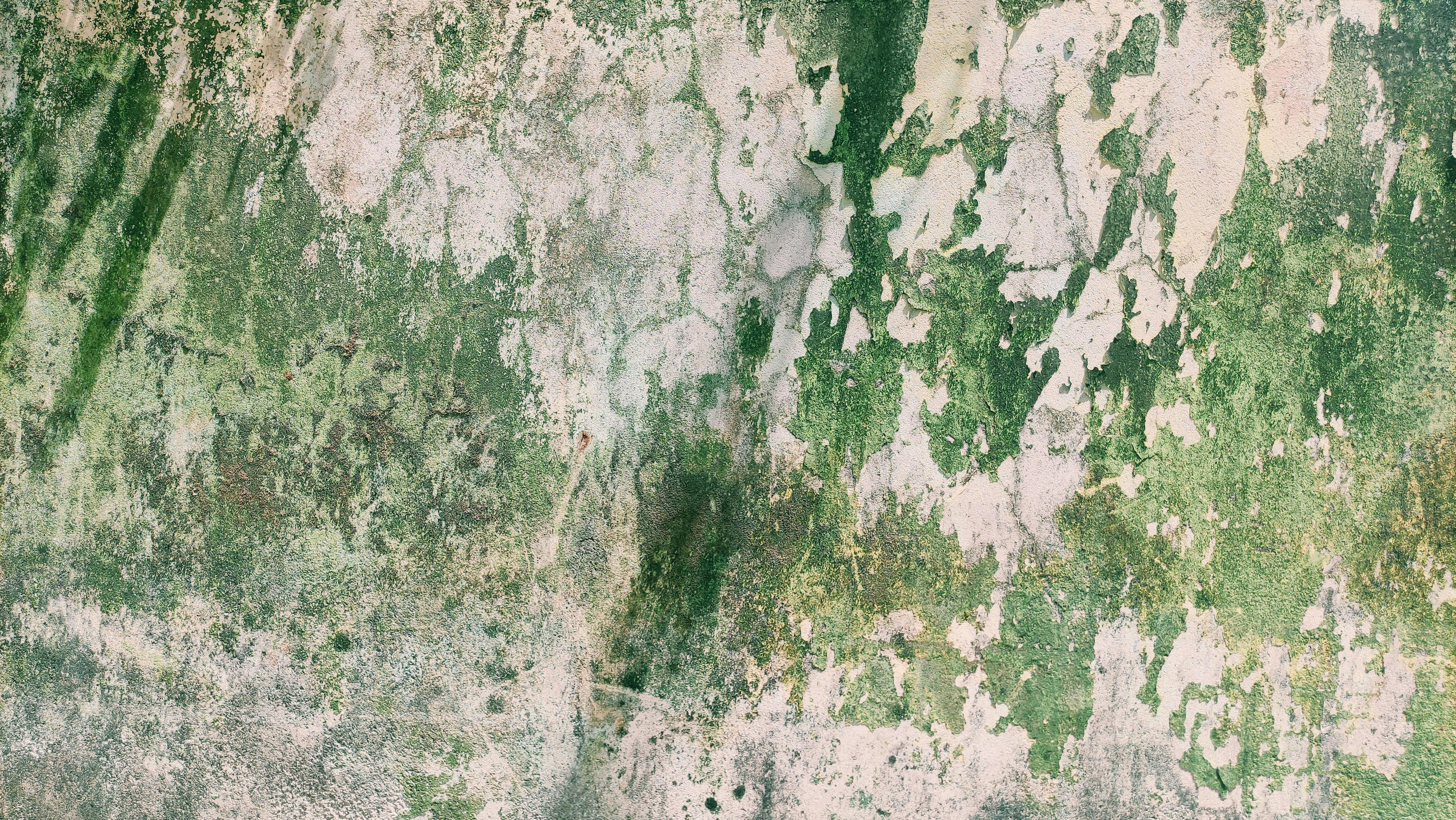 Посконник
