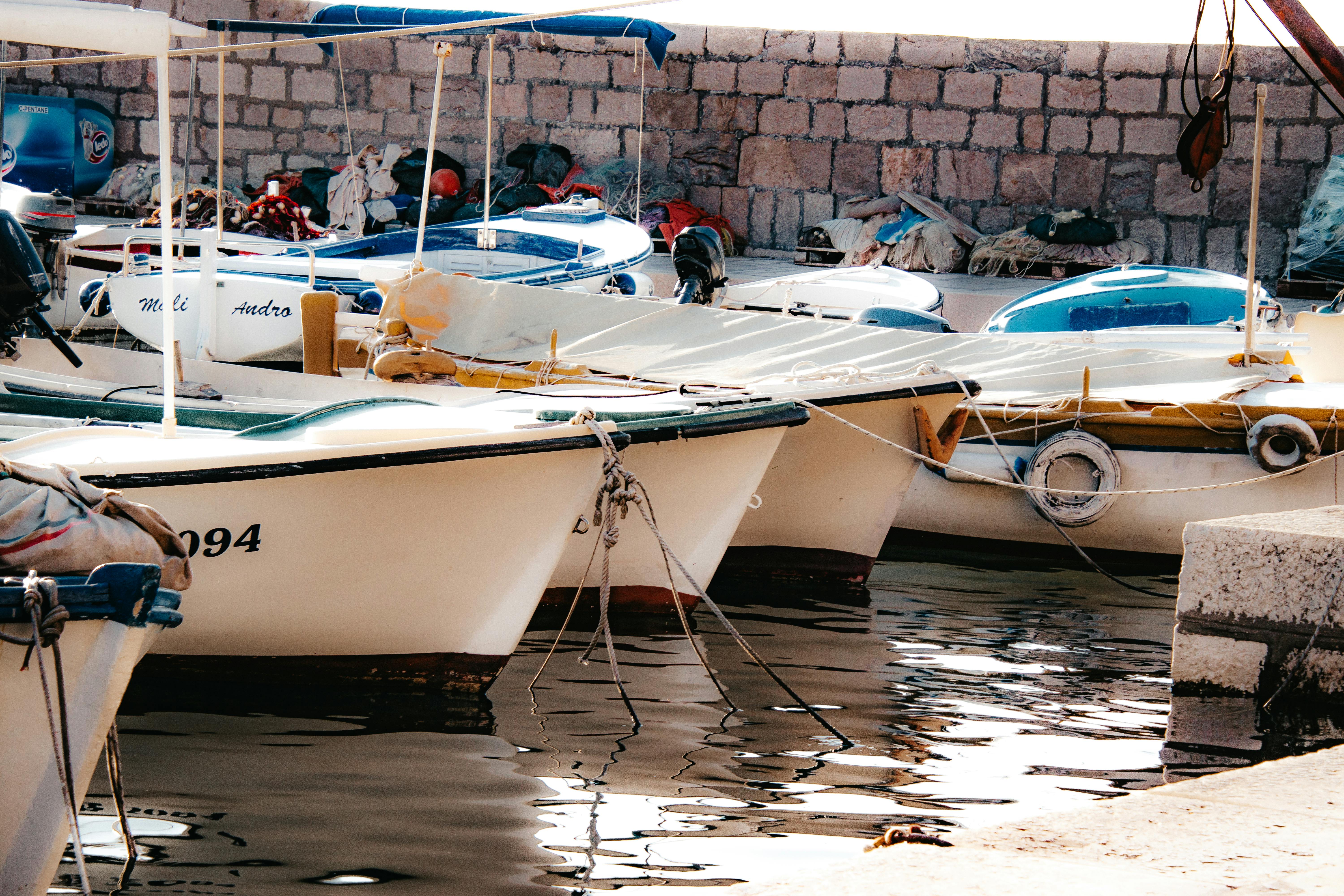 Отдых в Приморском крае в 2025 году: заповедник с амурскими тиграми, виды на Японское море и красная икра