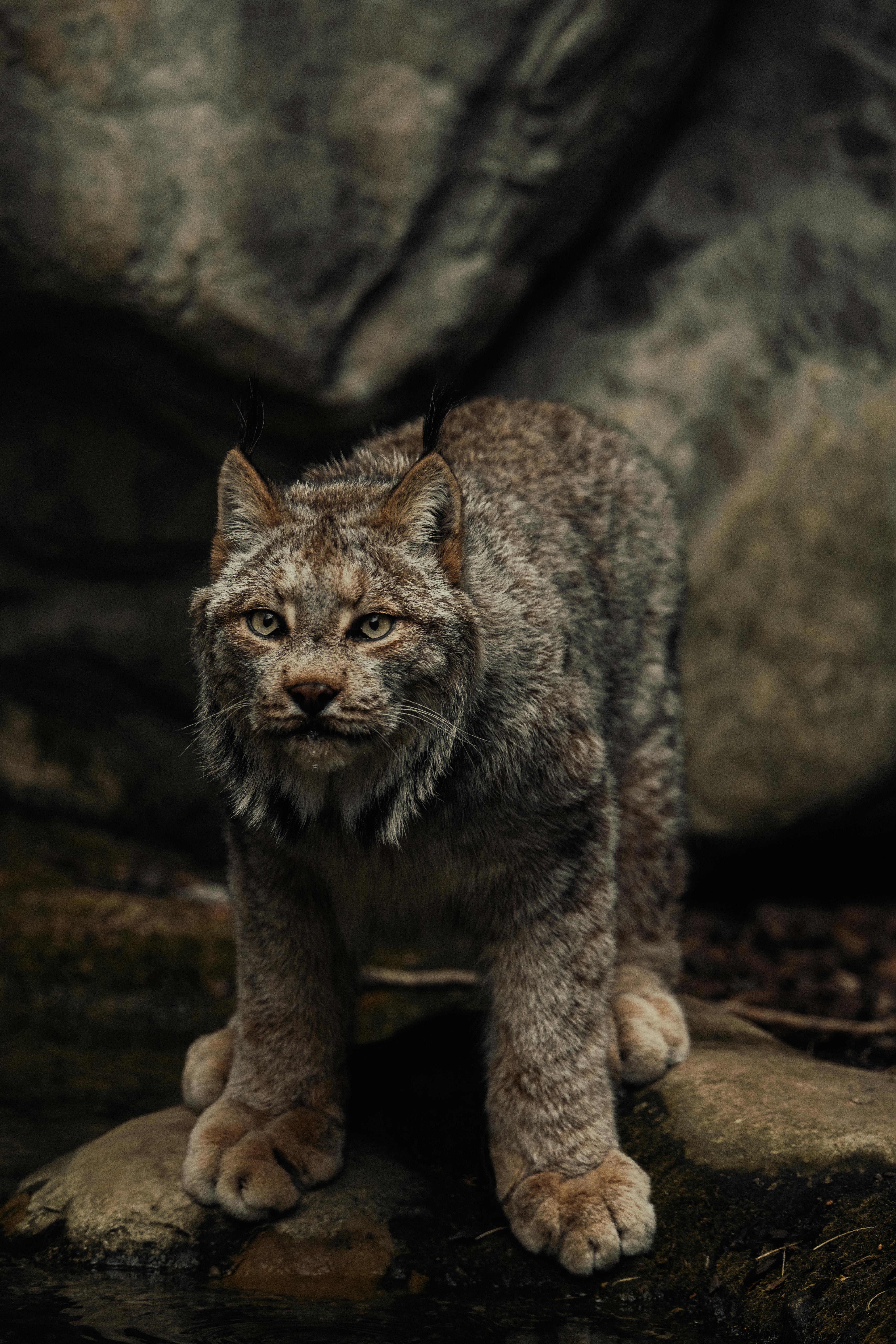 Лучший кетчуп в 2025 году