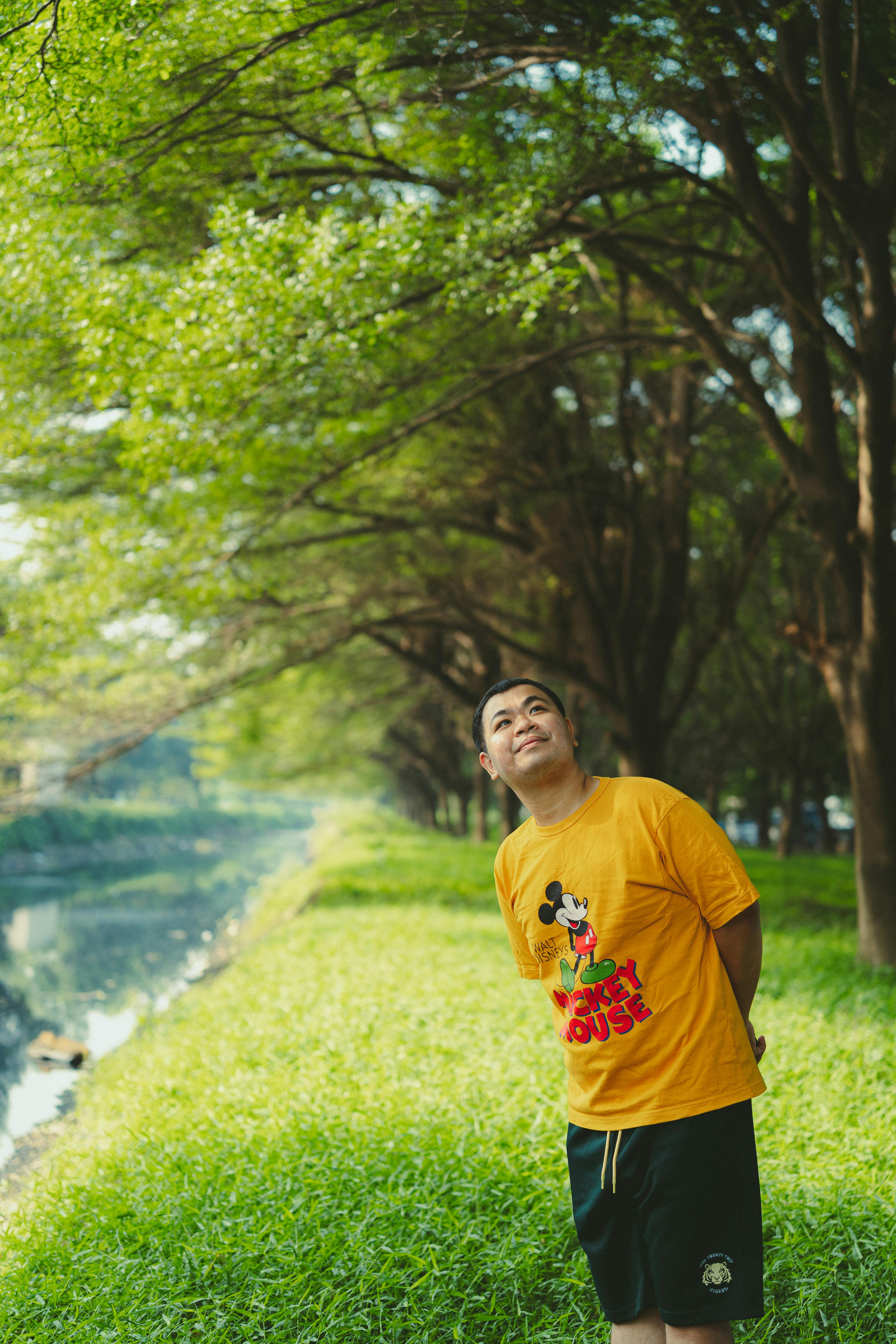 Международный день чая в 2025 году: история и традиции праздника