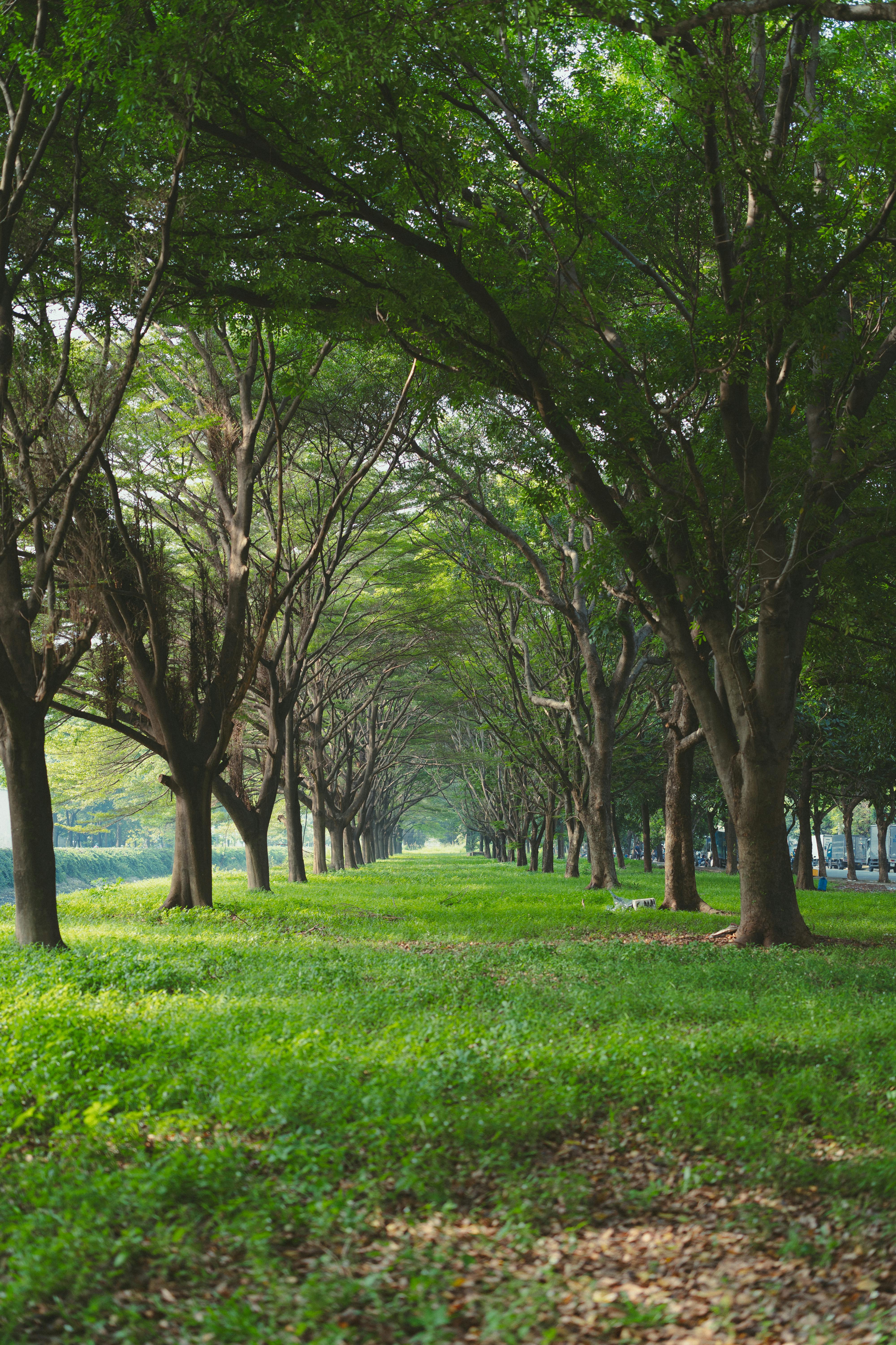 8 июля 2025 года — выходной или рабочий день в России?