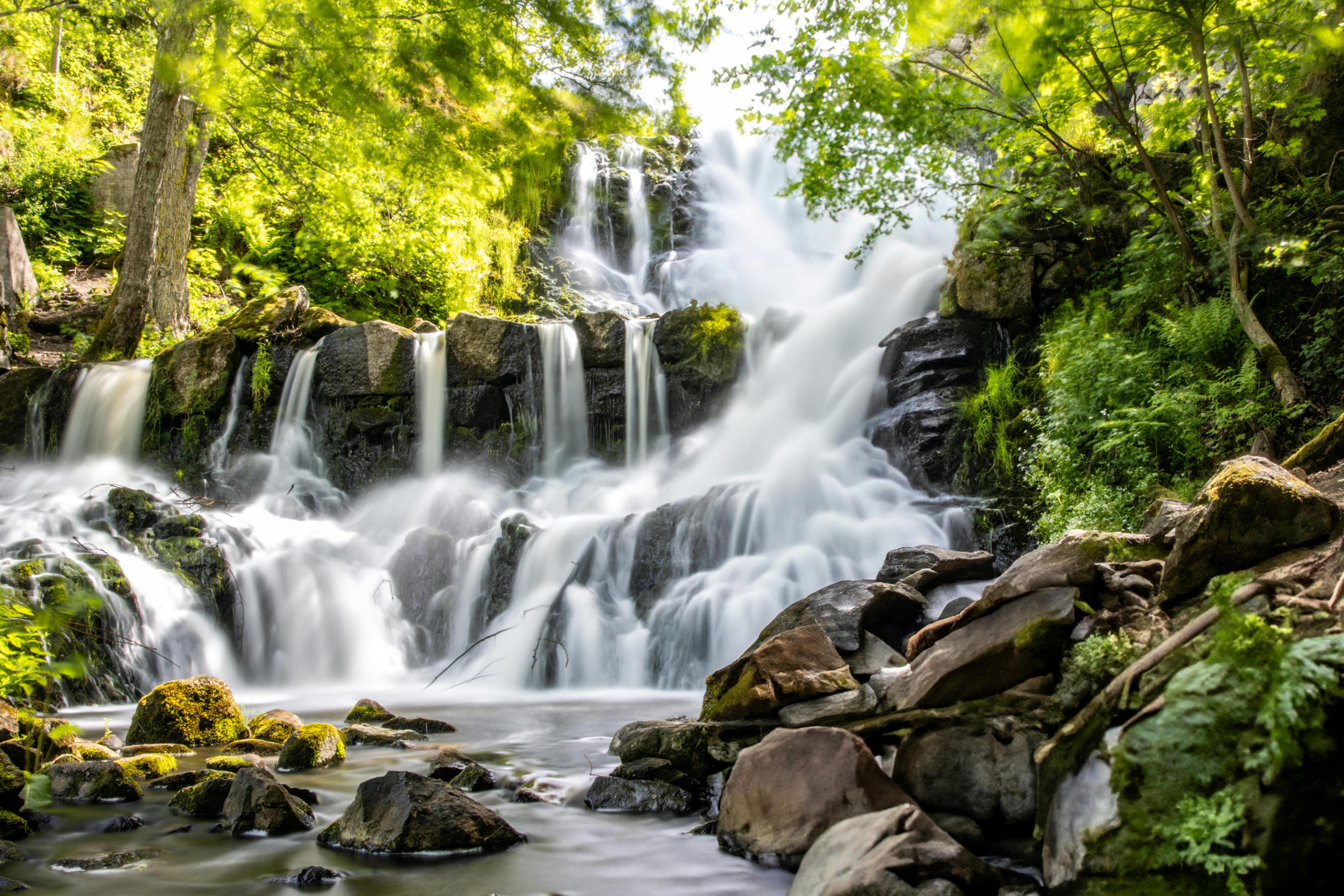 Поздравления с Днём работников леса 2025