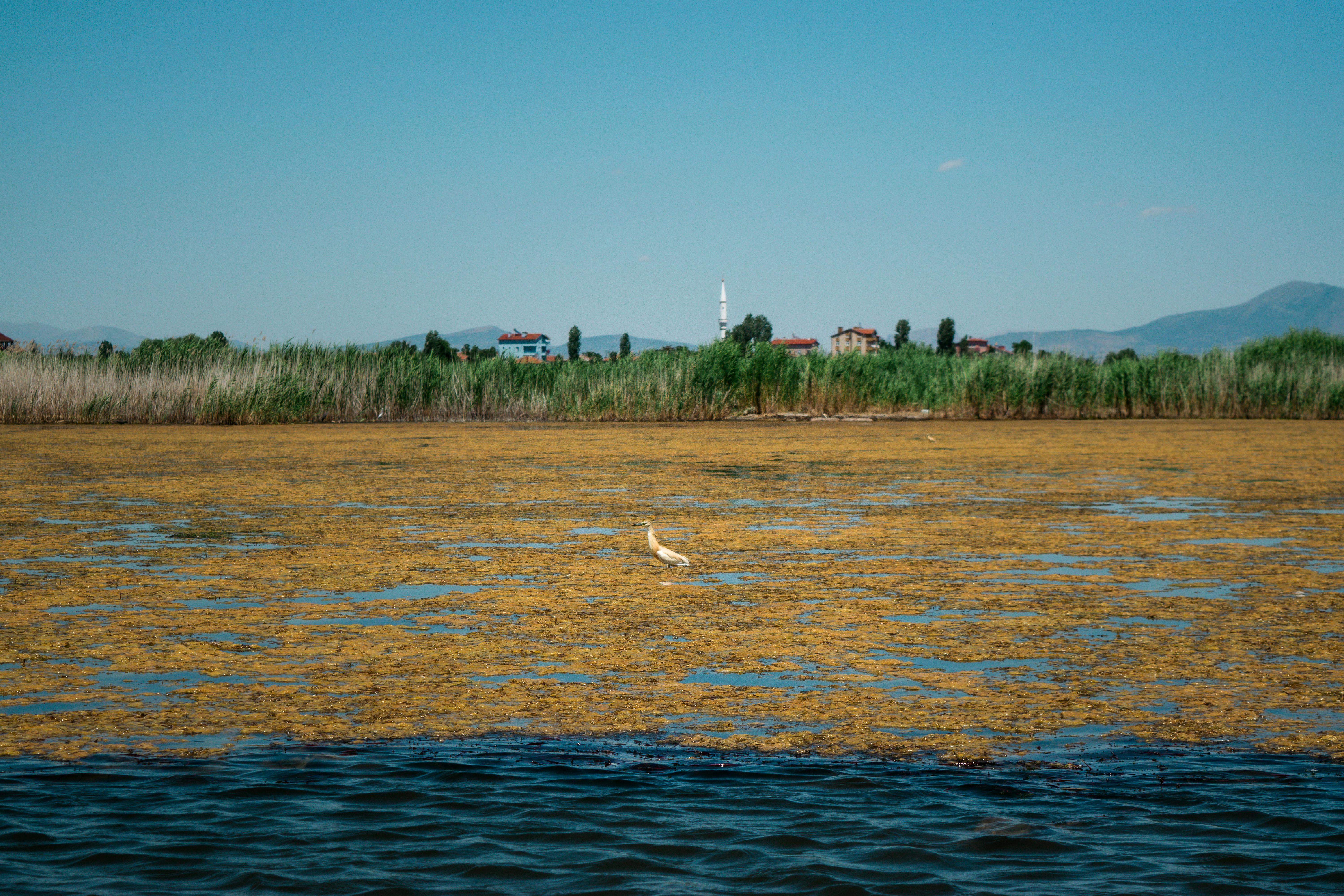 Выписка из ЕГРН на квартиру в 2025 году