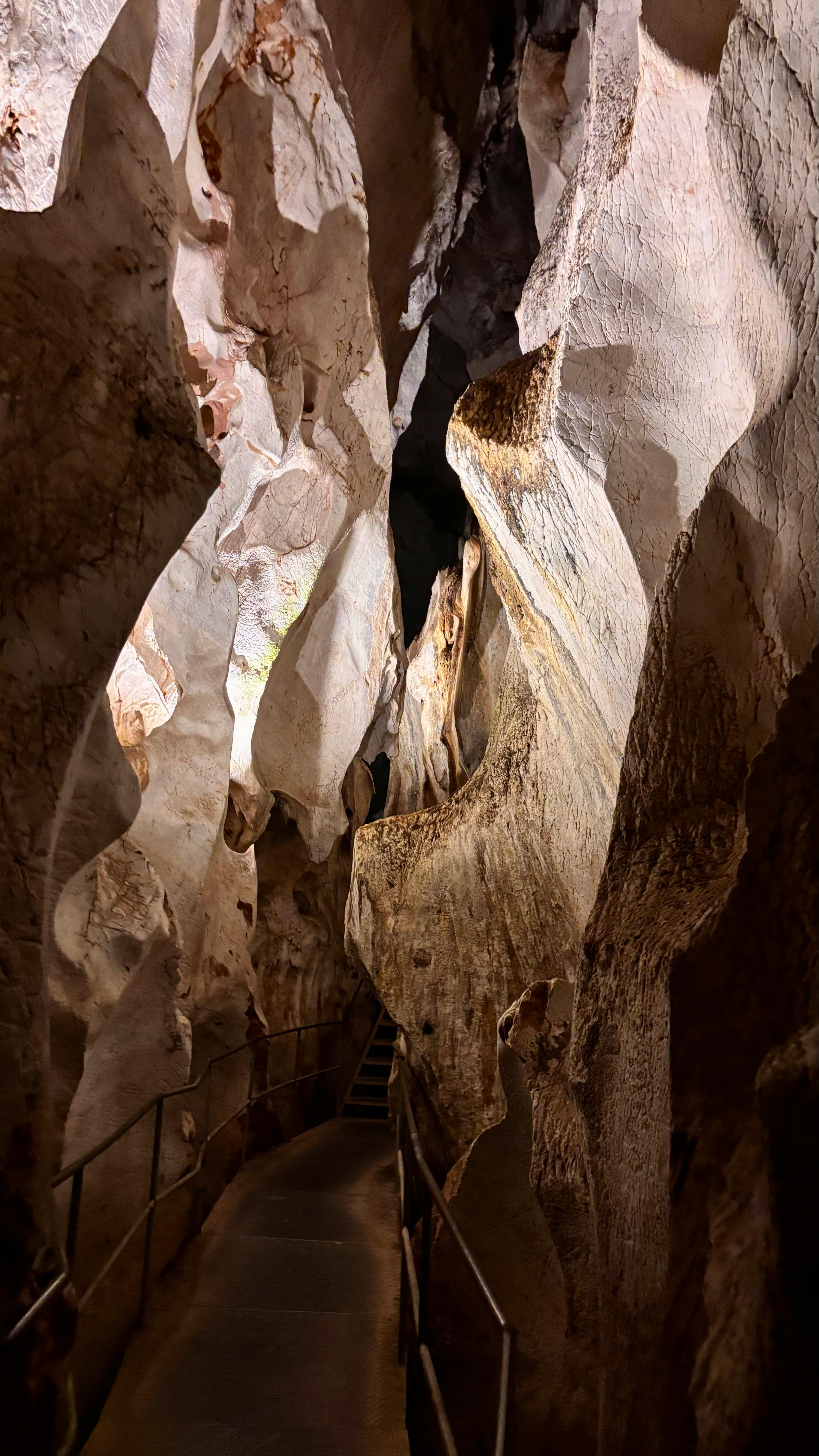 Формирование огурцов