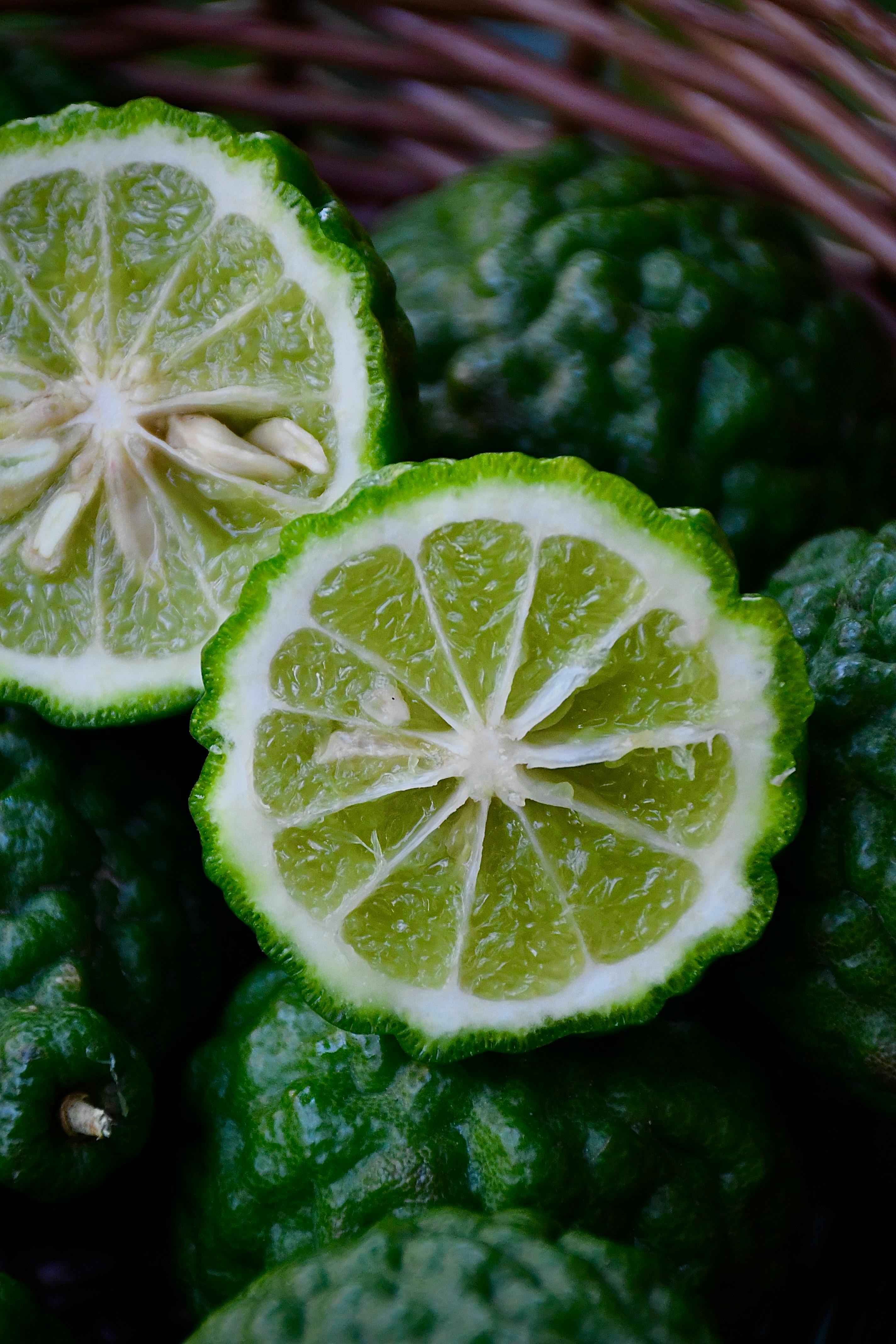 Укроп: польза и вред для здоровья